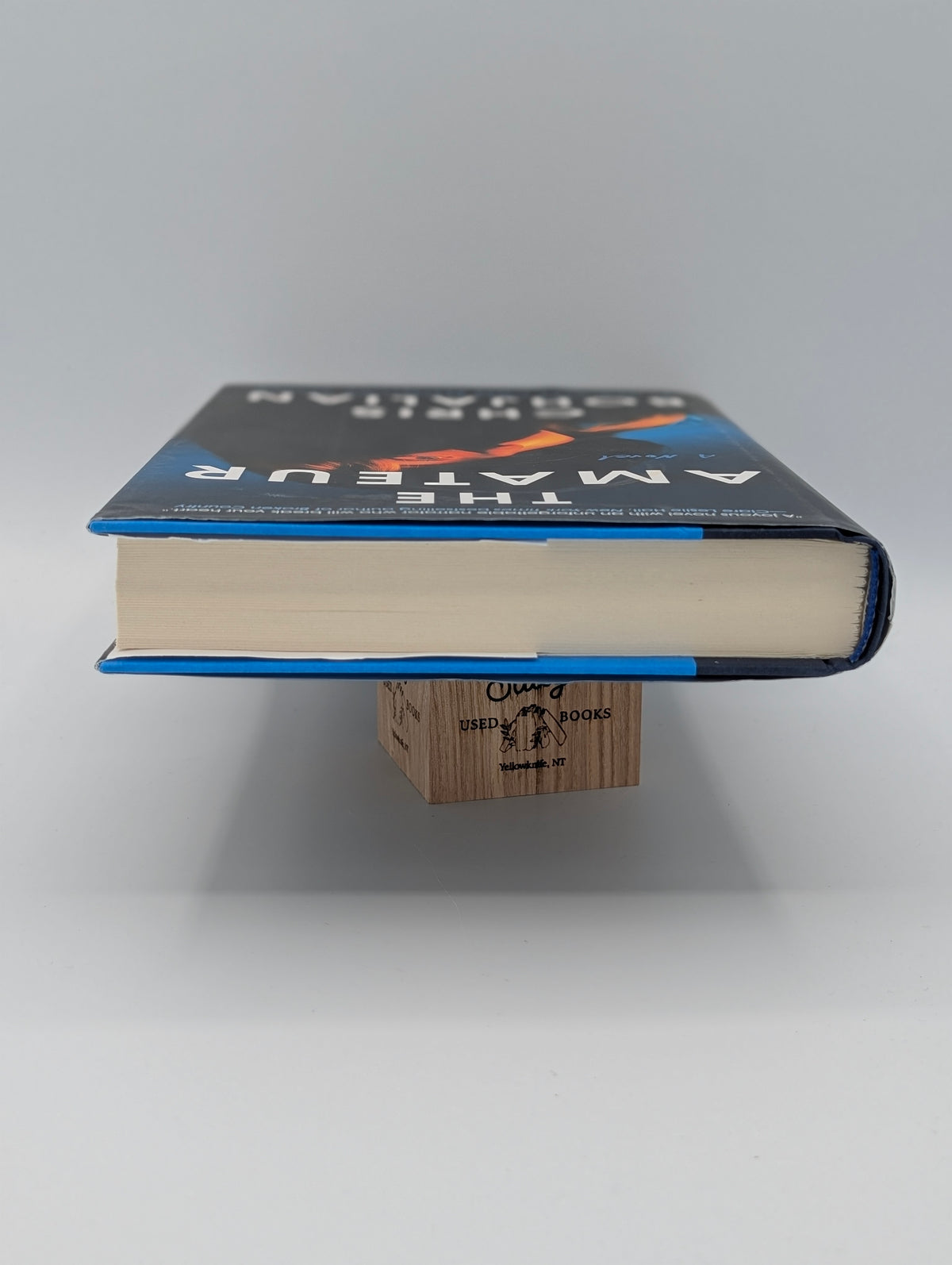 The Amateur: A Novel