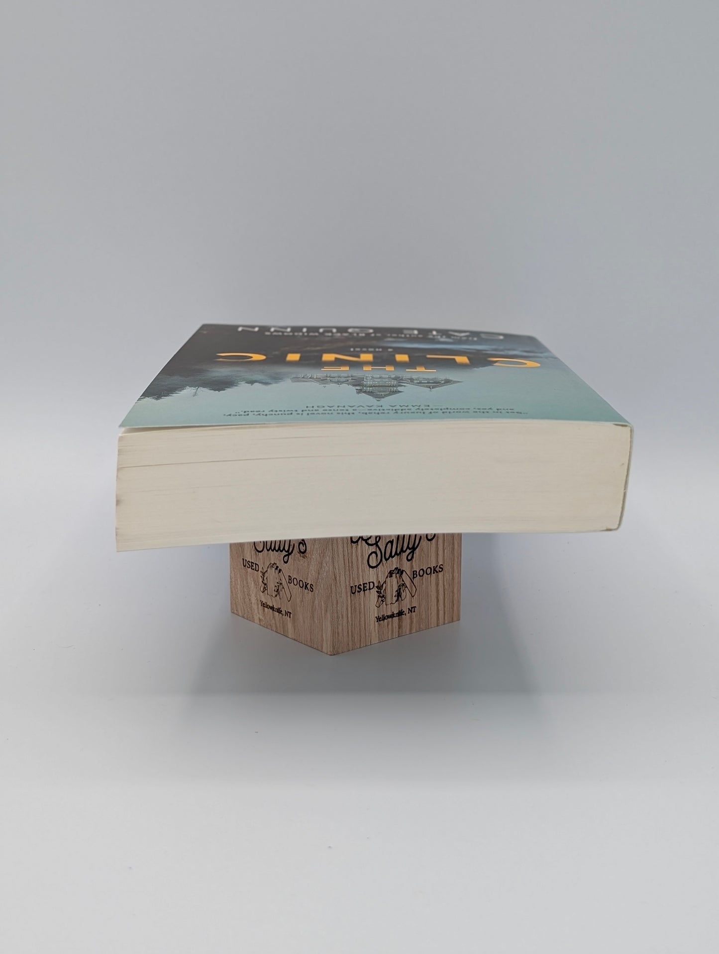 The Clinic: A Novel