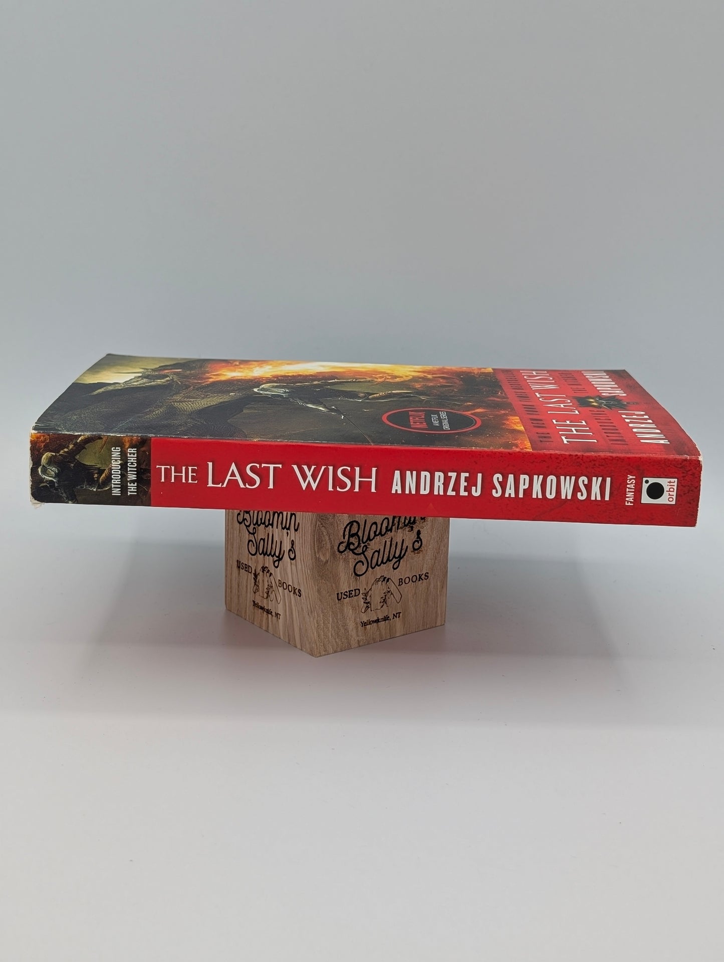 The Last Wish (The Witcher, 1)