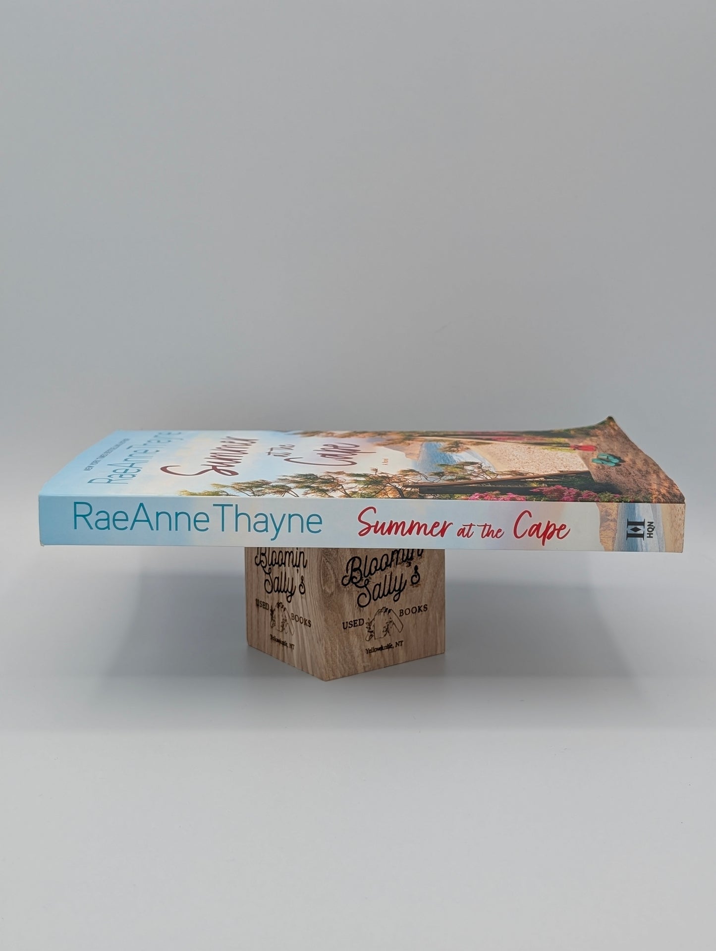 Summer at the Cape: A Novel