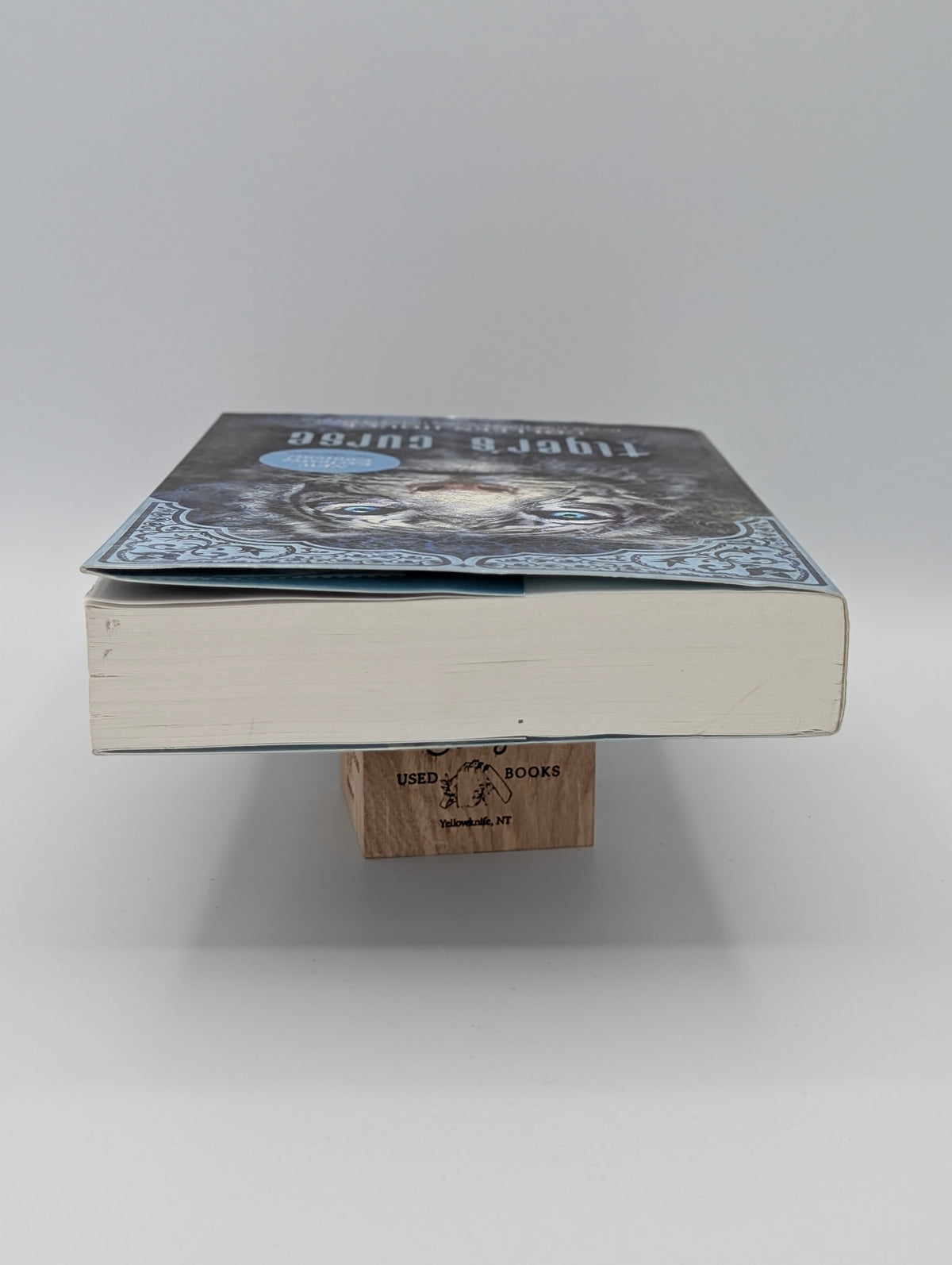 Tiger's Curse (Tiger Saga, 1)
