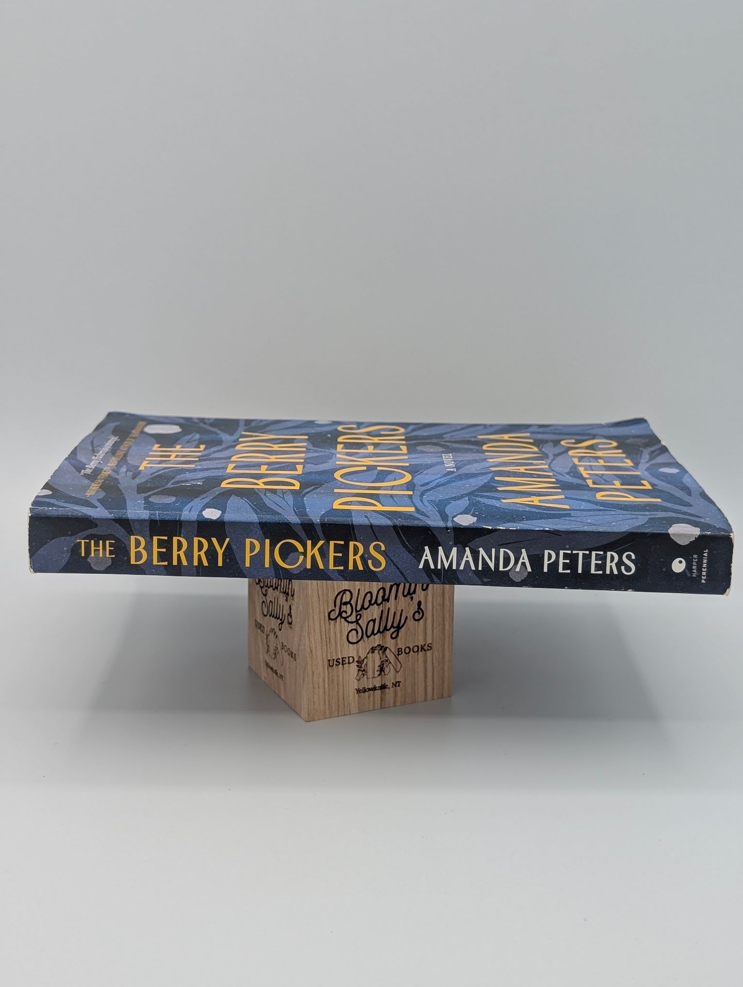 The Berry Pickers: A Novel