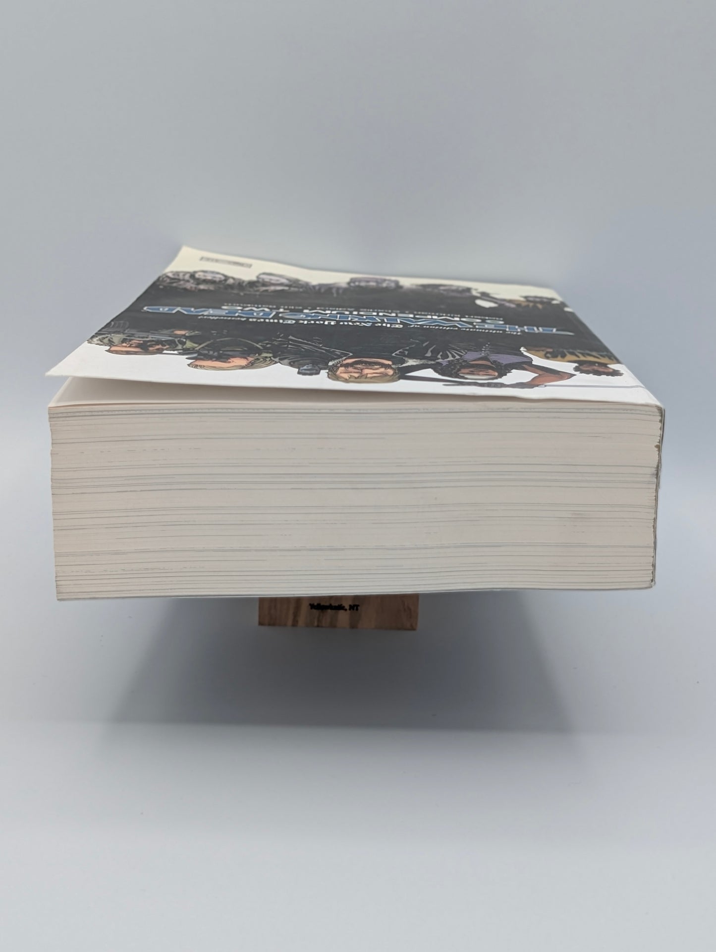 The Walking Dead: Compendium Two