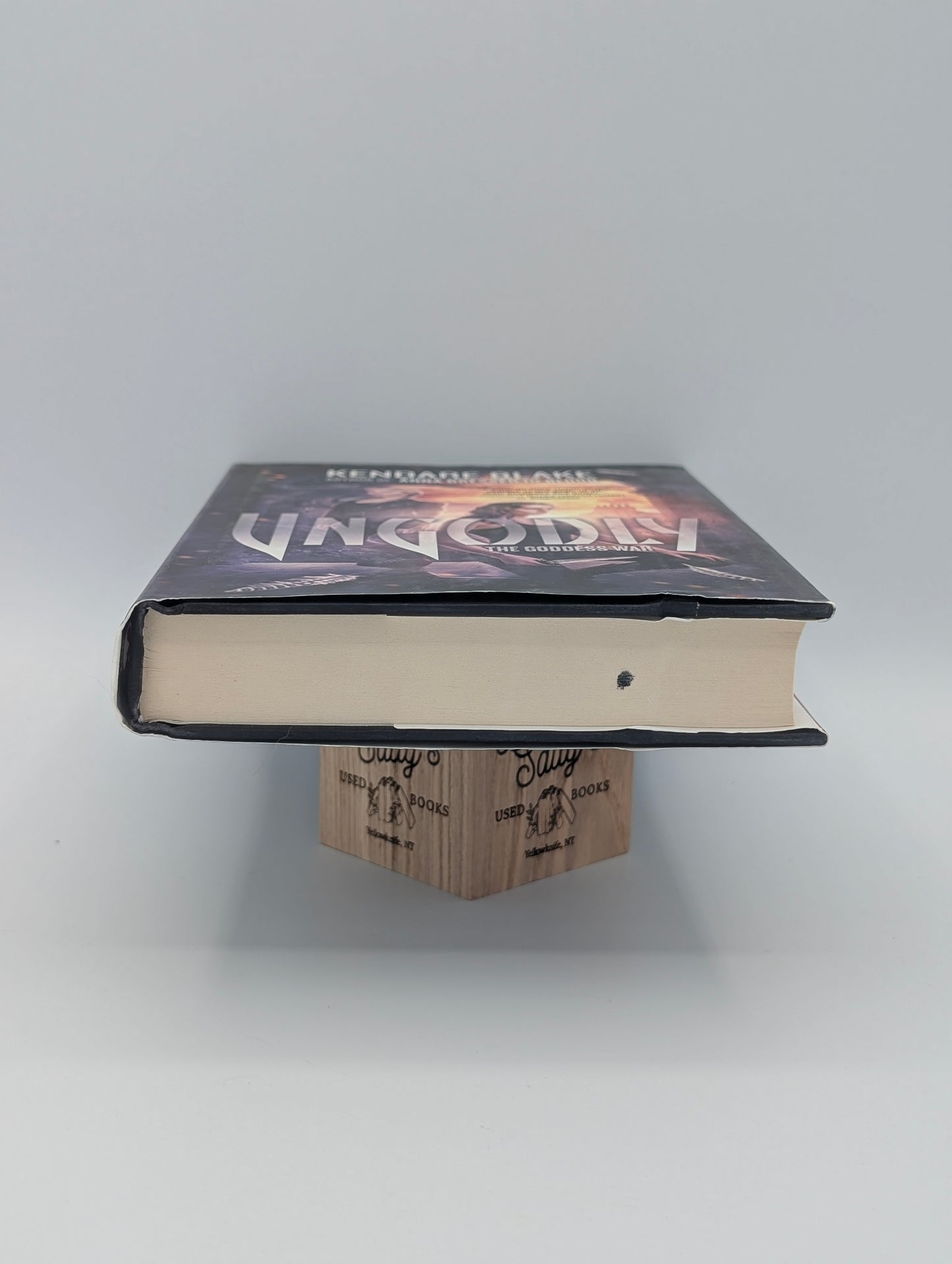 Ungodly: A Novel (The Goddess War, 3)
