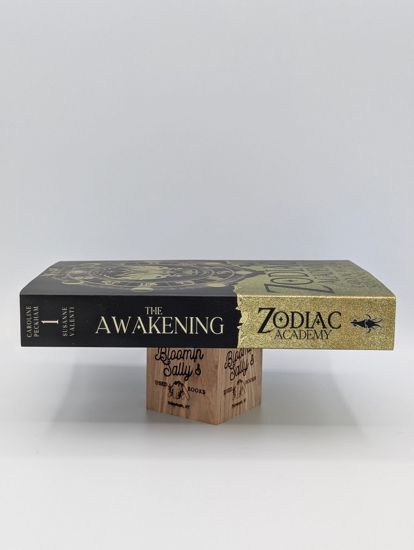 Zodiac Academy 1: The Awakening (1)
