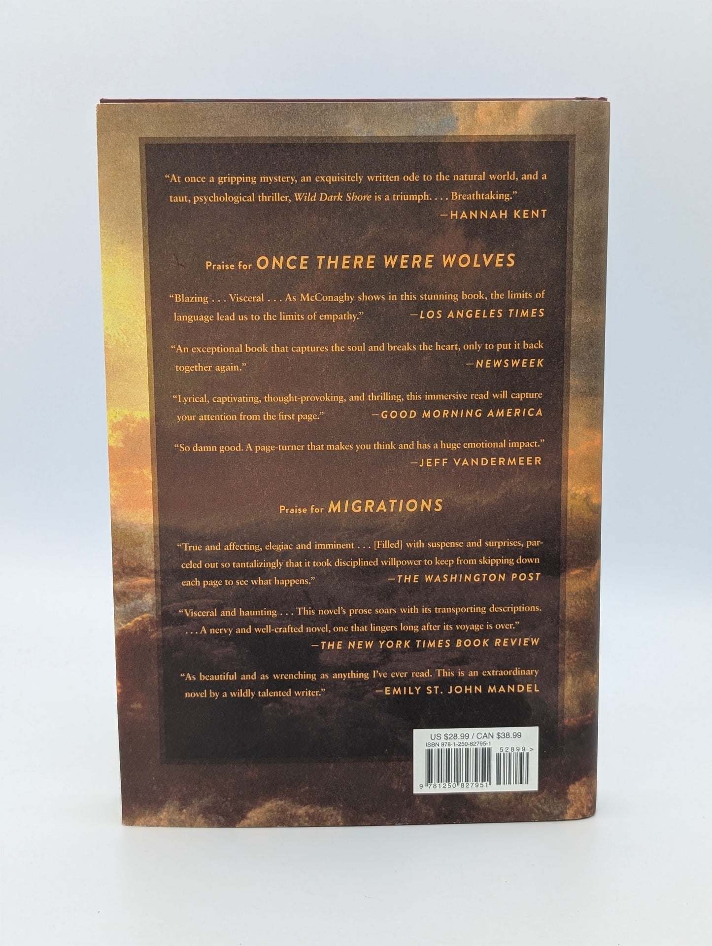 Wild Dark Shore: A Novel (Reese's Book Club)