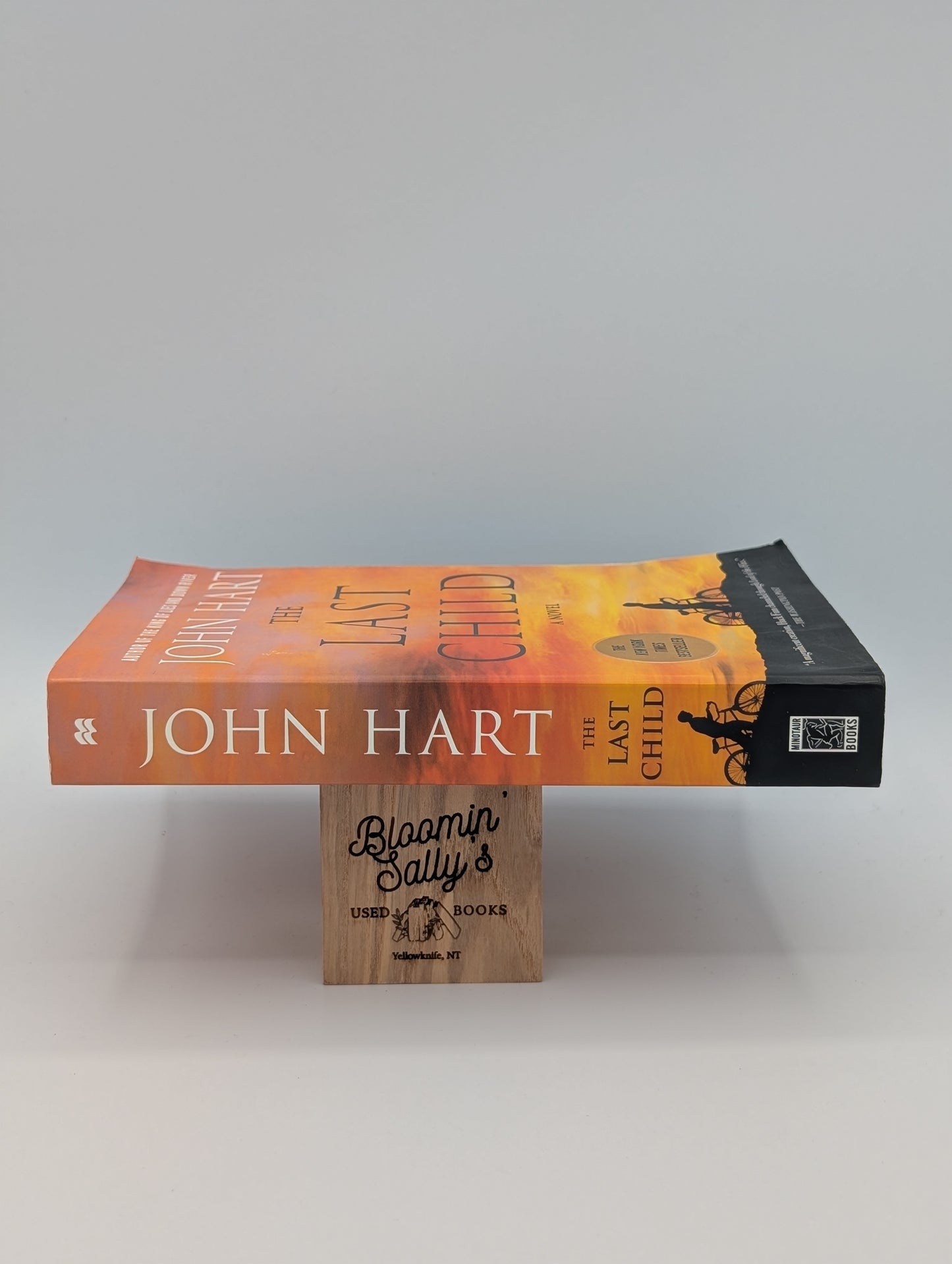 The Last Child: A Novel
