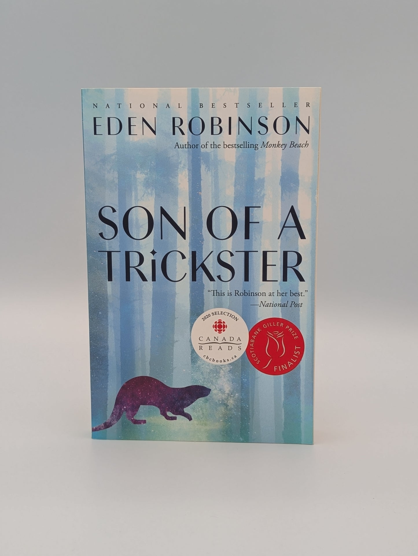 Son of a Trickster (The Trickster trilogy)