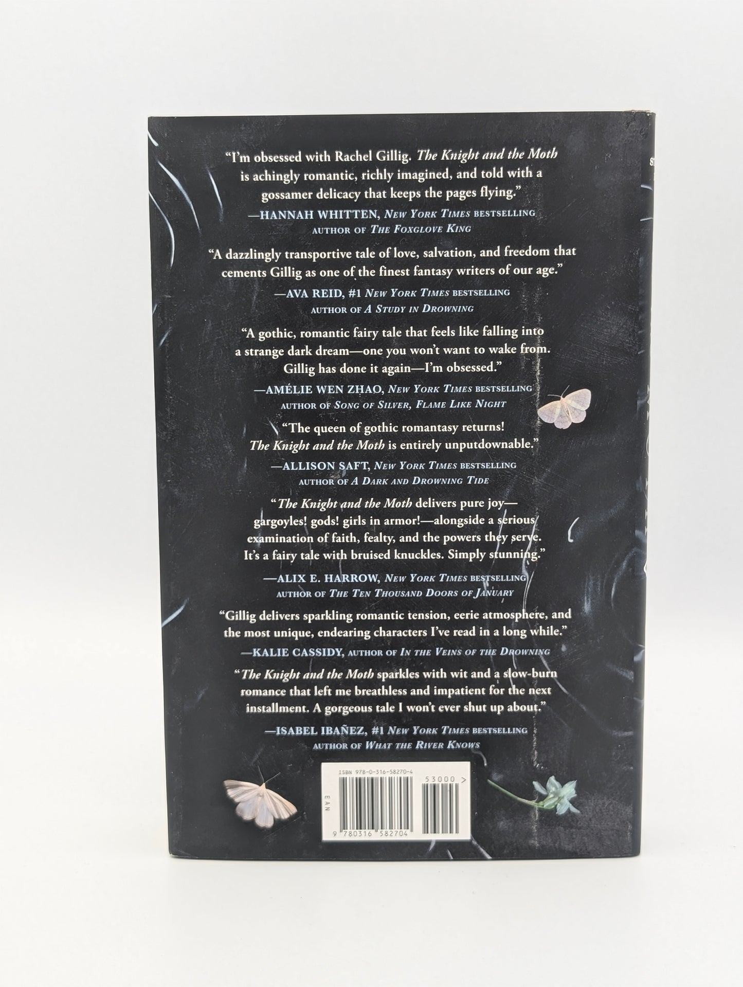 The Knight and the Moth (The Stonewater Kingdom, 1)