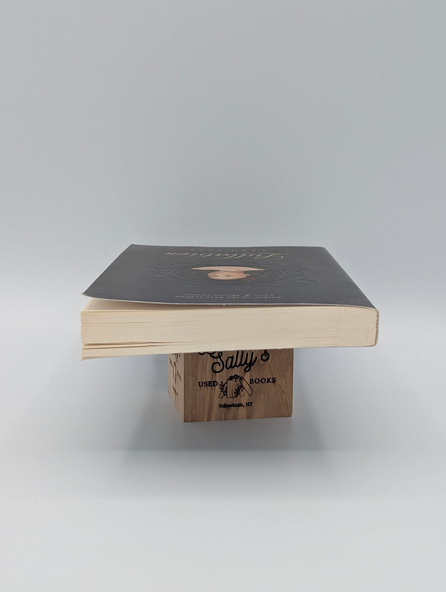 Lullabies (Volume 2) (Lang Leav)