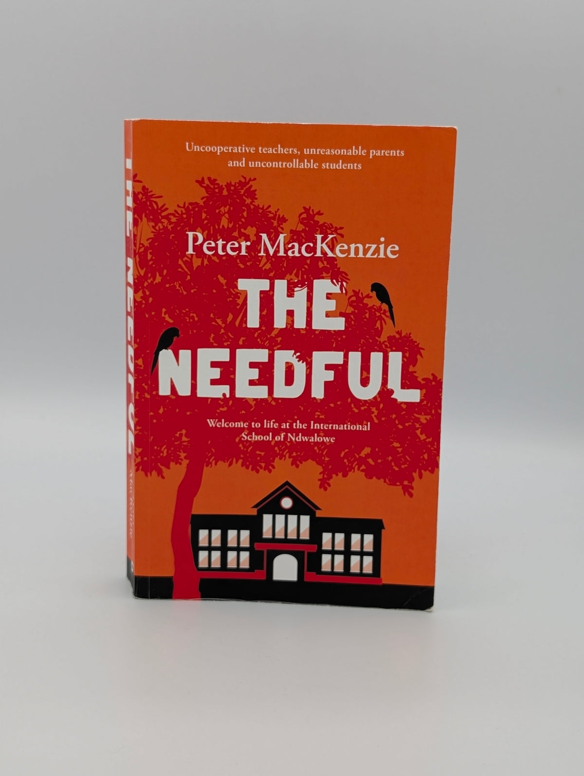 The Needful: A year in an international school in Africa