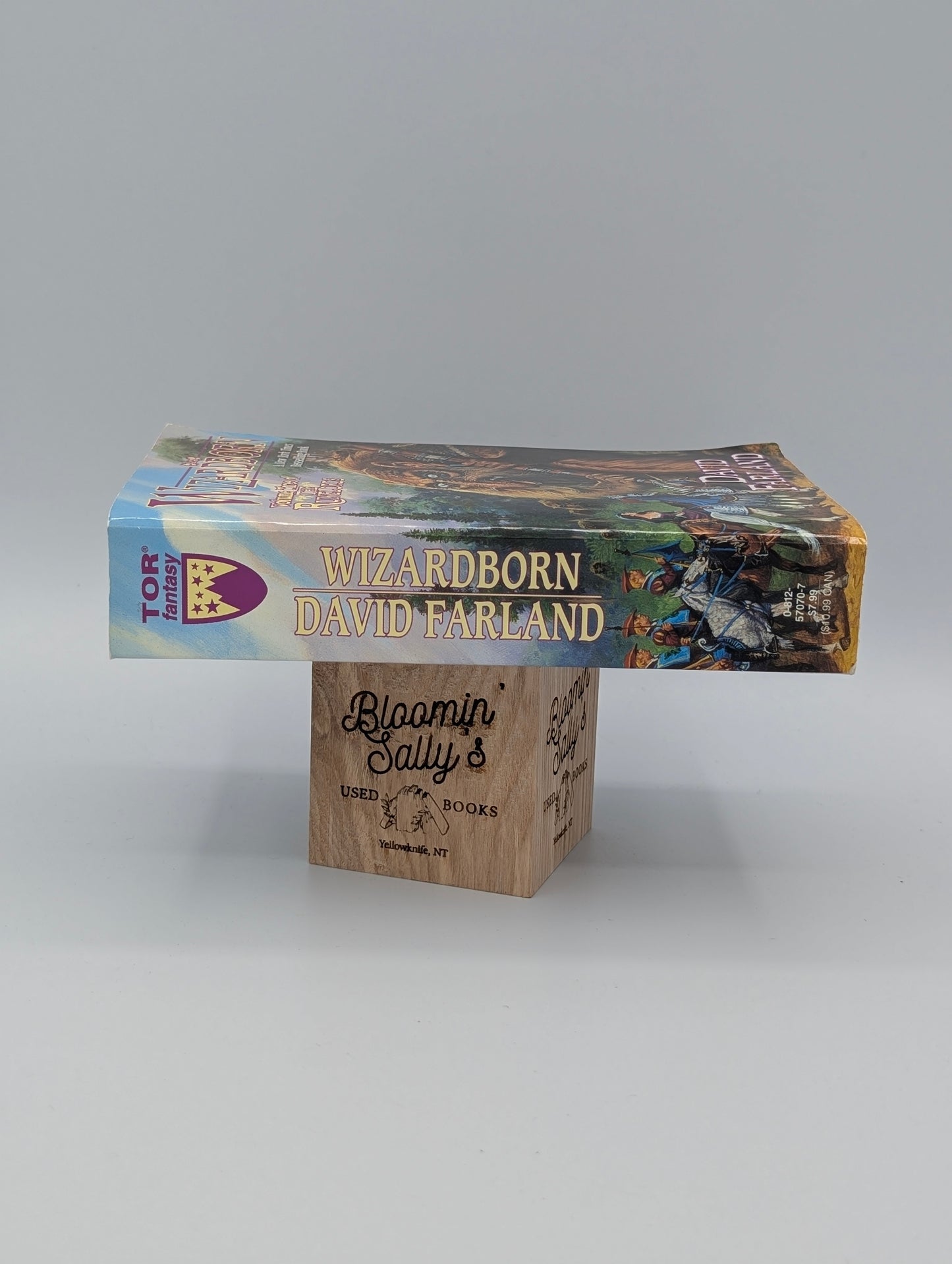 Wizardborn: Book Three of 'the Runelords'