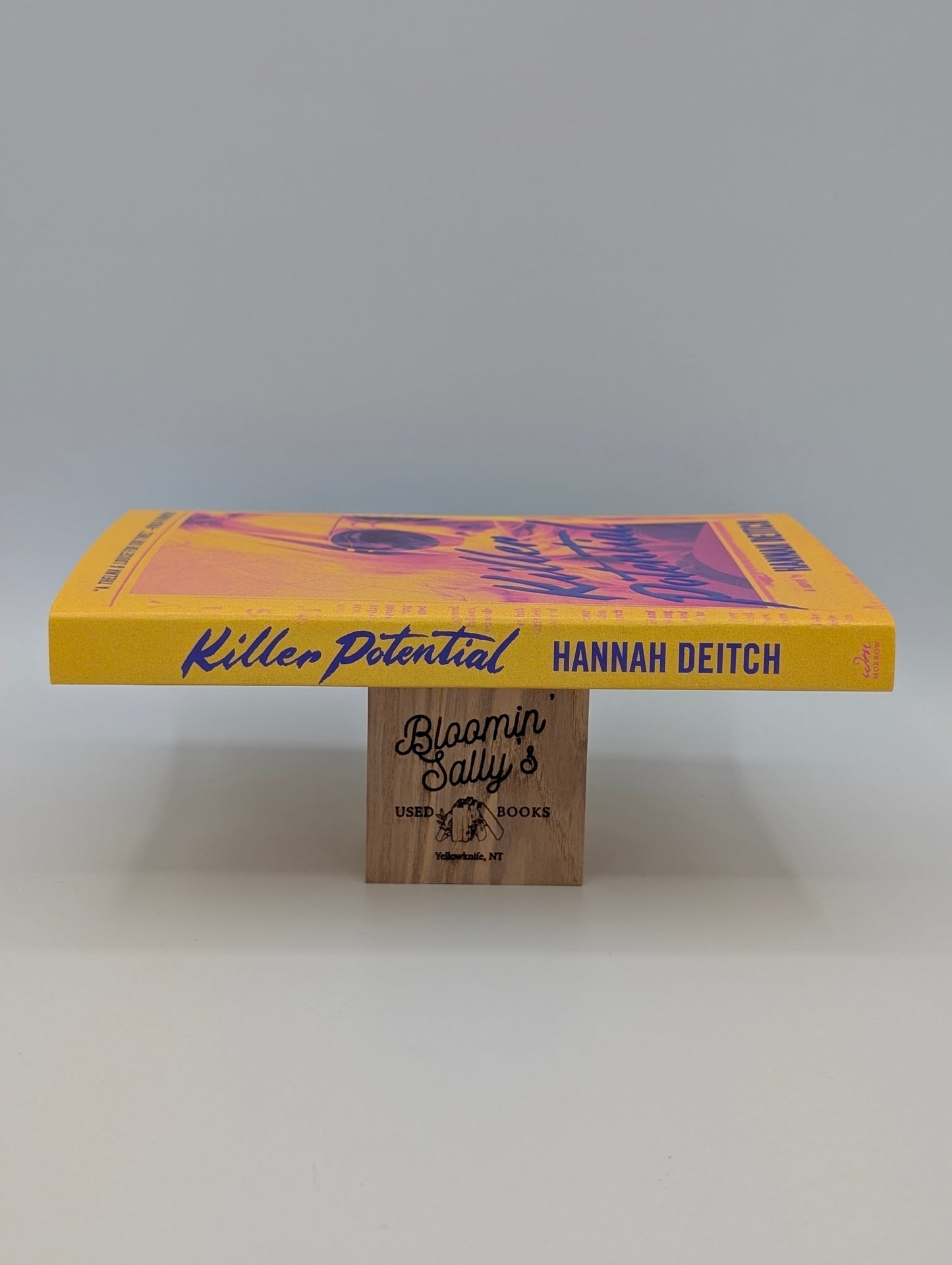 Killer Potential: A Novel