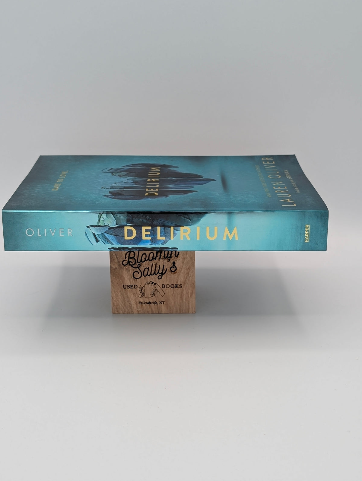 Delirium (Delirium Trilogy, 1)