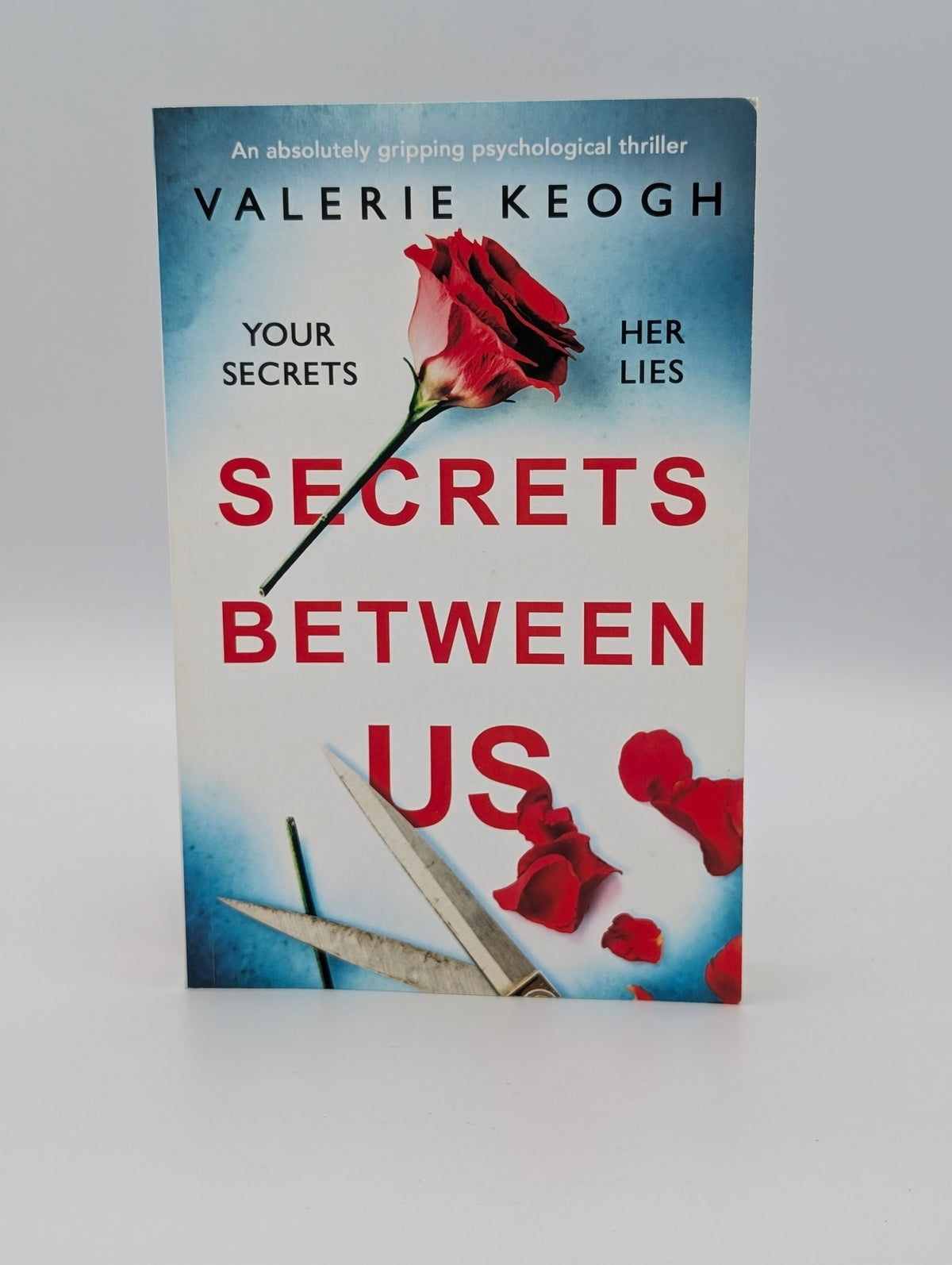 Valerie Keogh 6-Book Psychological Thriller Bundle