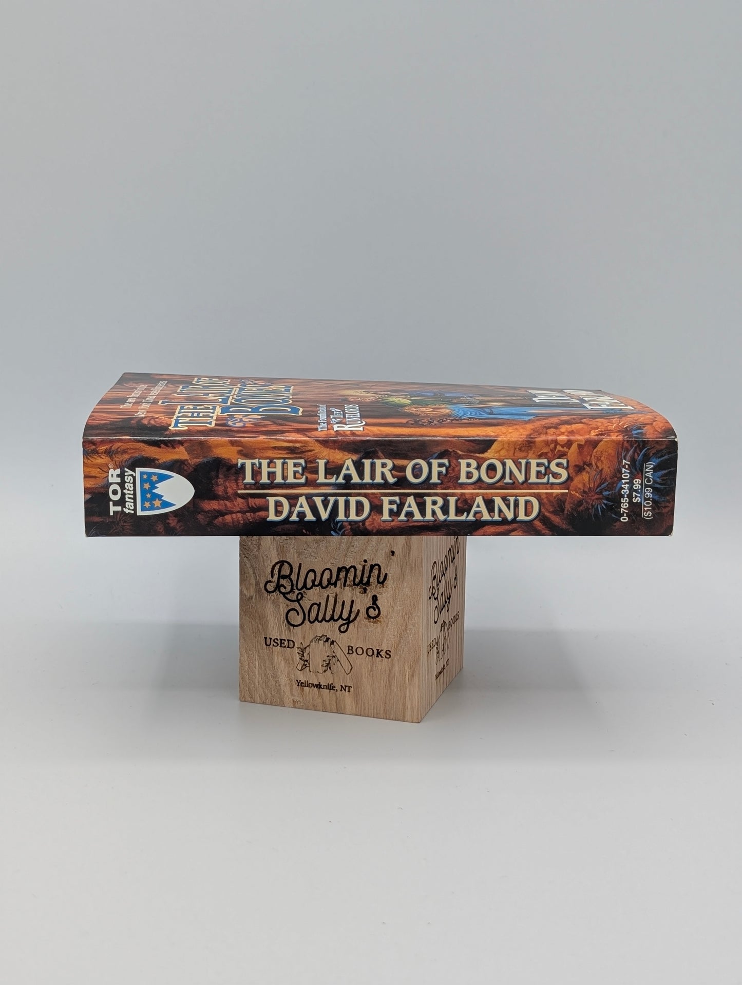 The Lair of Bones: The Fourth Book of The Runelords