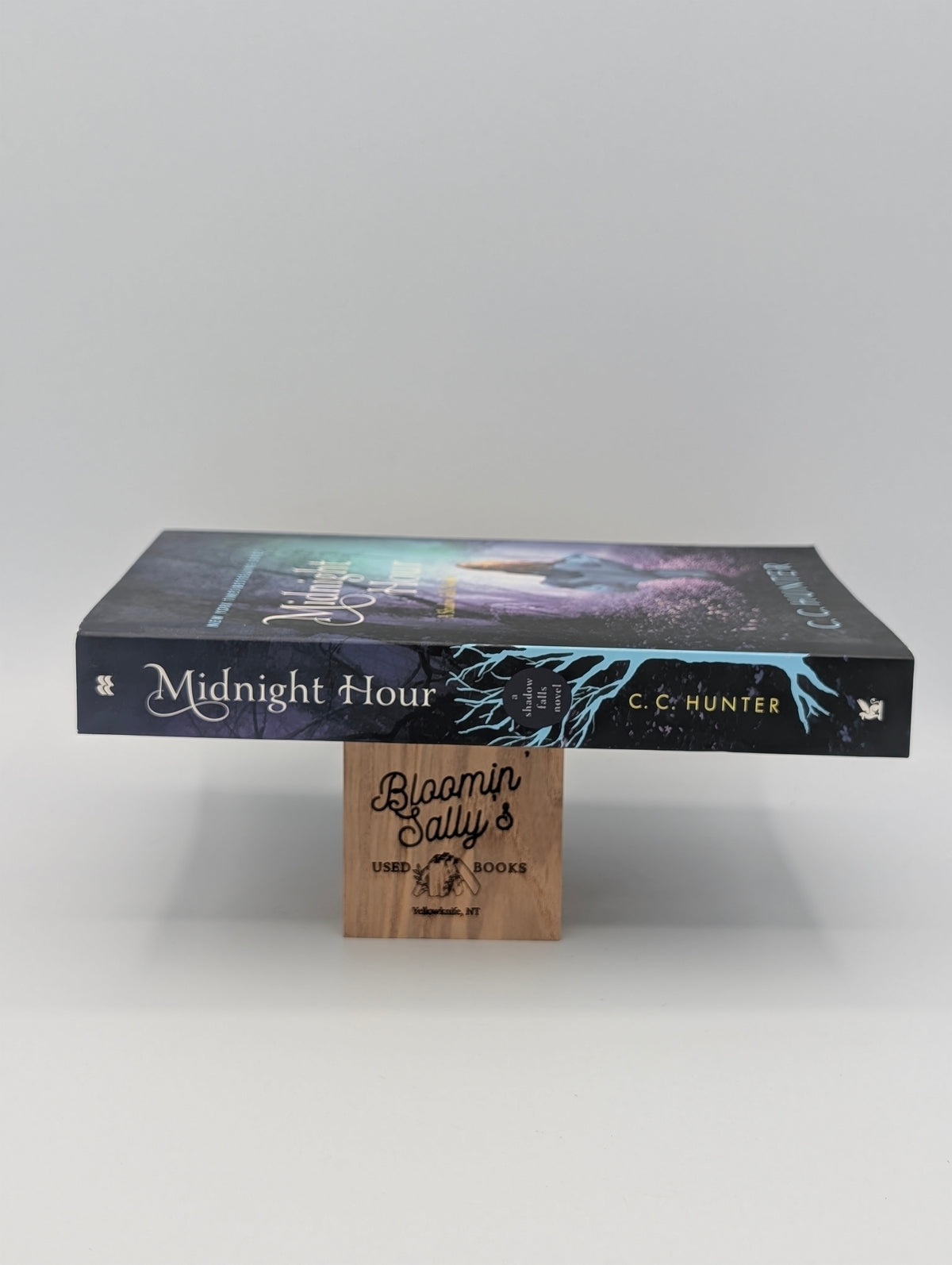 Midnight Hour: A Shadow Falls Novel
