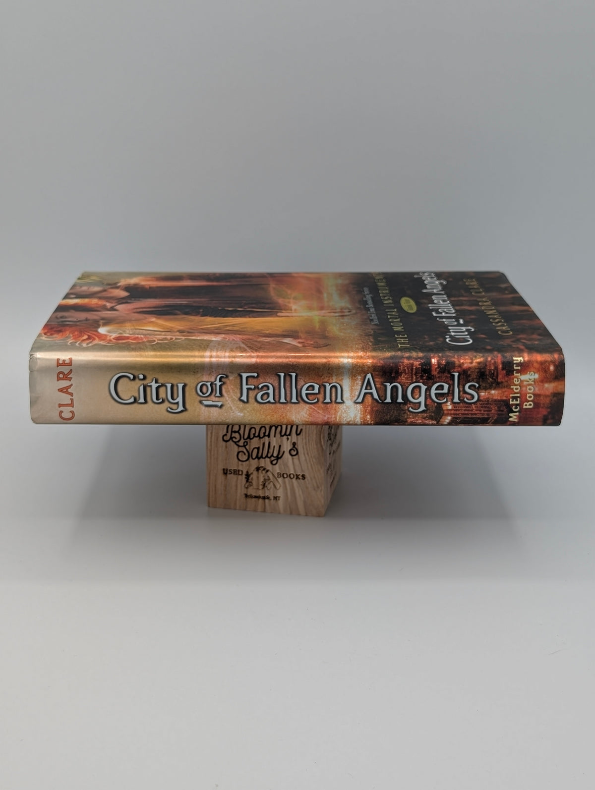 City of Fallen Angels (Mortal Instruments, Book 4)