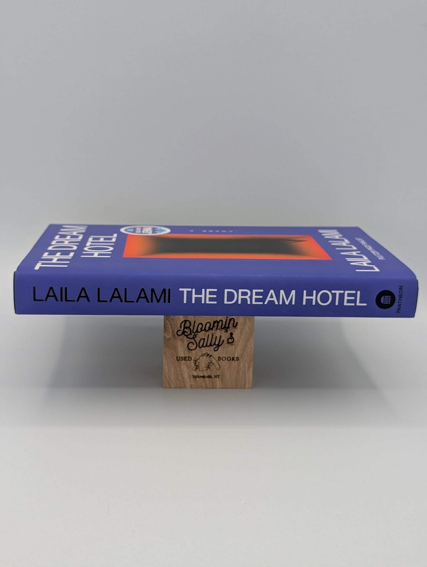 The Dream Hotel: A Read with Jenna Pick: A Novel