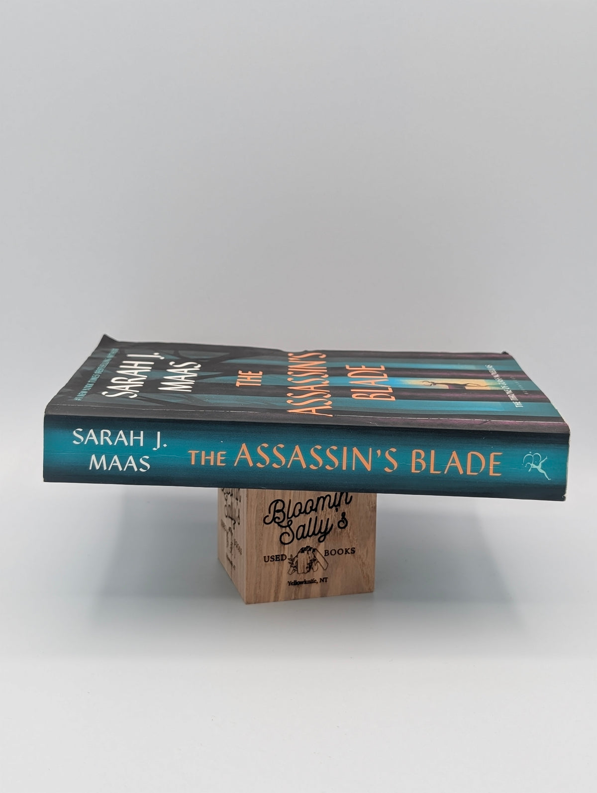 The Assassin's Blade: The Throne of Glass Prequel Novellas (Throne of Glass, 8)