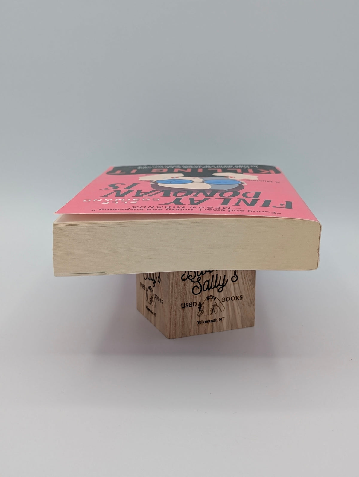 Finlay Donovan Is Killing It: A Novel (The Finlay Donovan Series, 1)