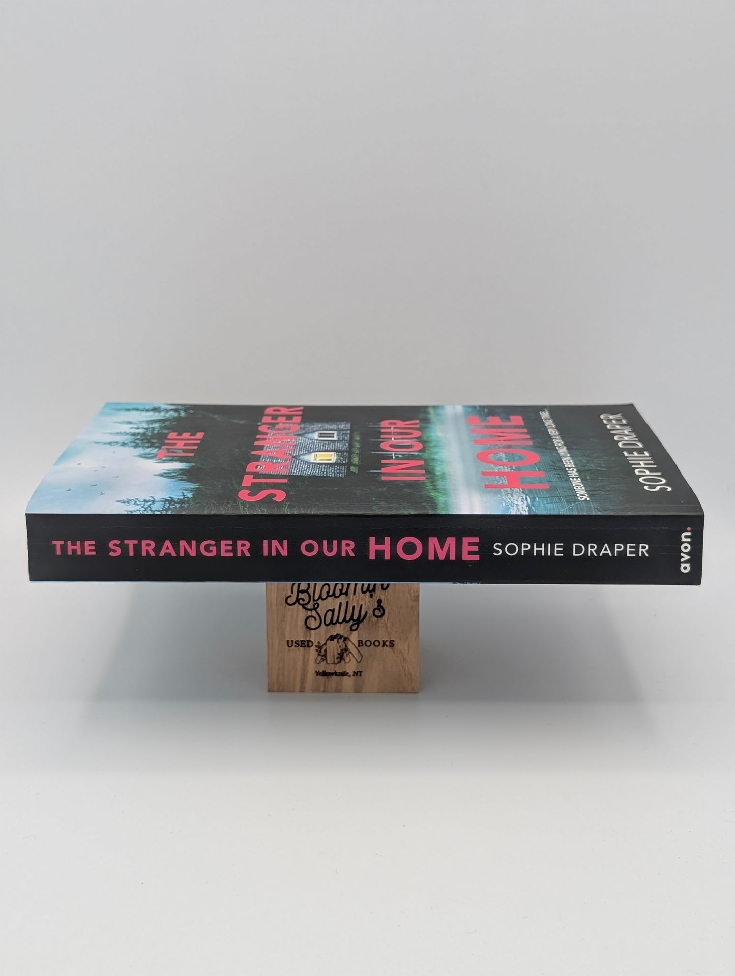 The Stranger In Our Home