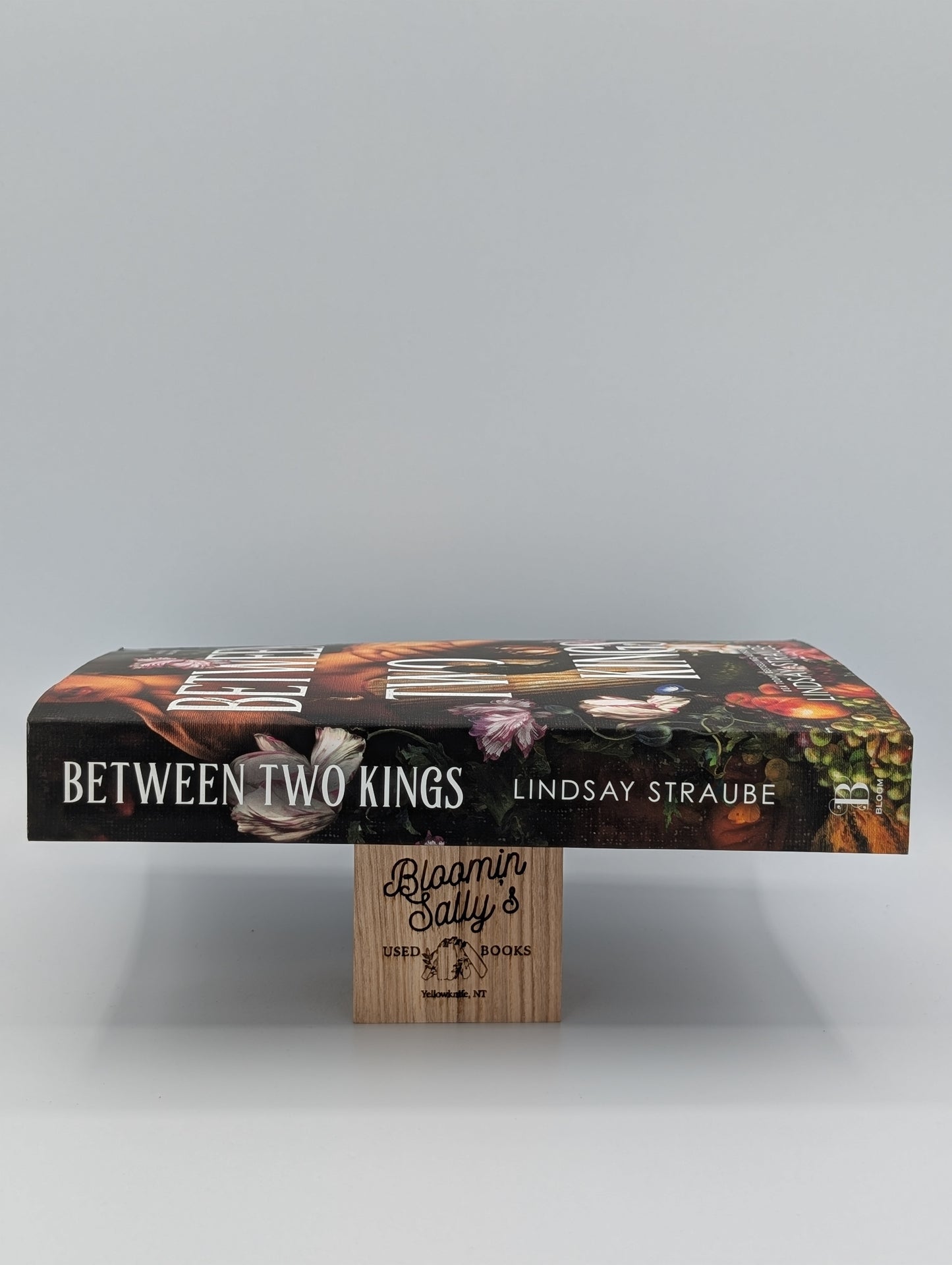 Between Two Kings (Deluxe Edition): A Split or Swallow Novel (Split or Swallow, 2)