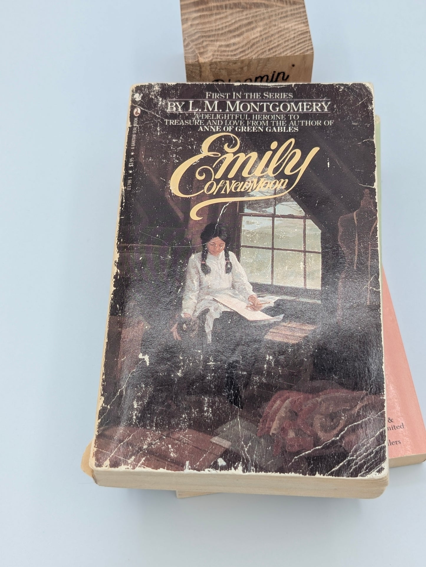 Emily of New Moon Bundle