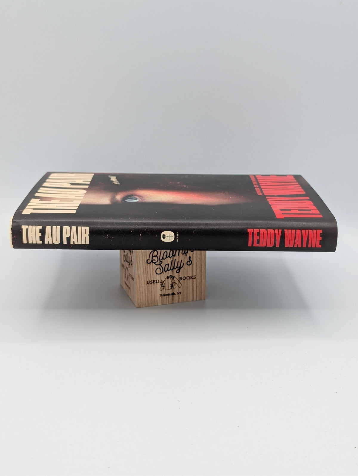 The Au Pair: A Novel