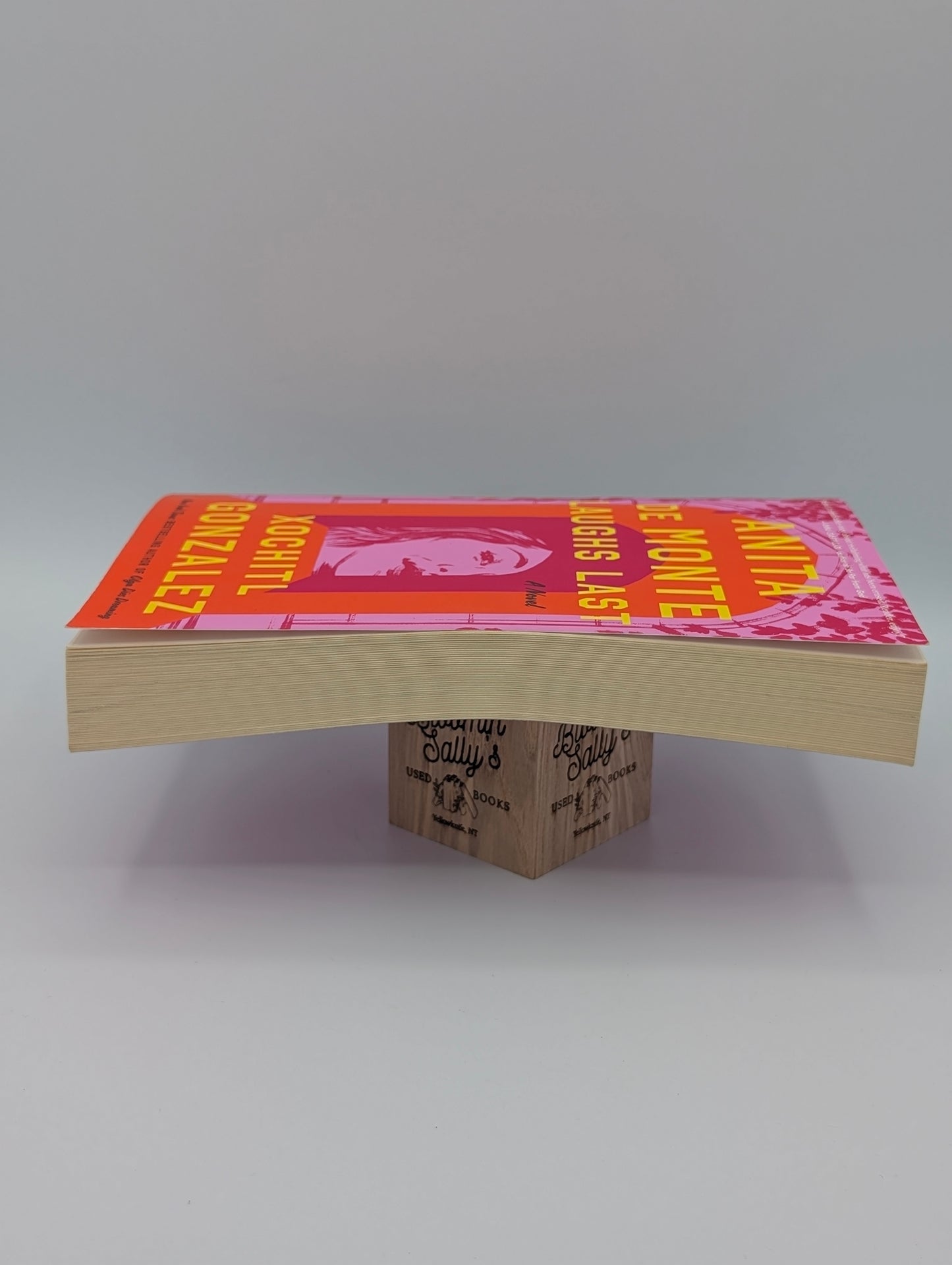 Anita de Monte Laughs Last: Reese's Book Club Pick (a Novel)