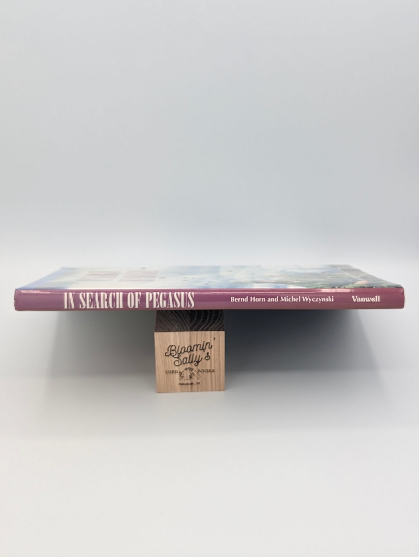 In Search of Pegasus: The Canadian Airborne Experience, 1942-1999