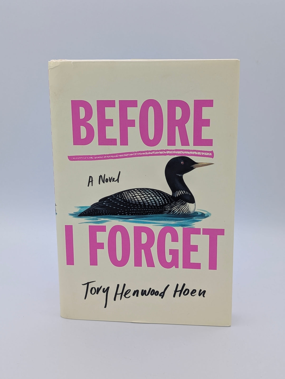 Before I Forget: A Novel