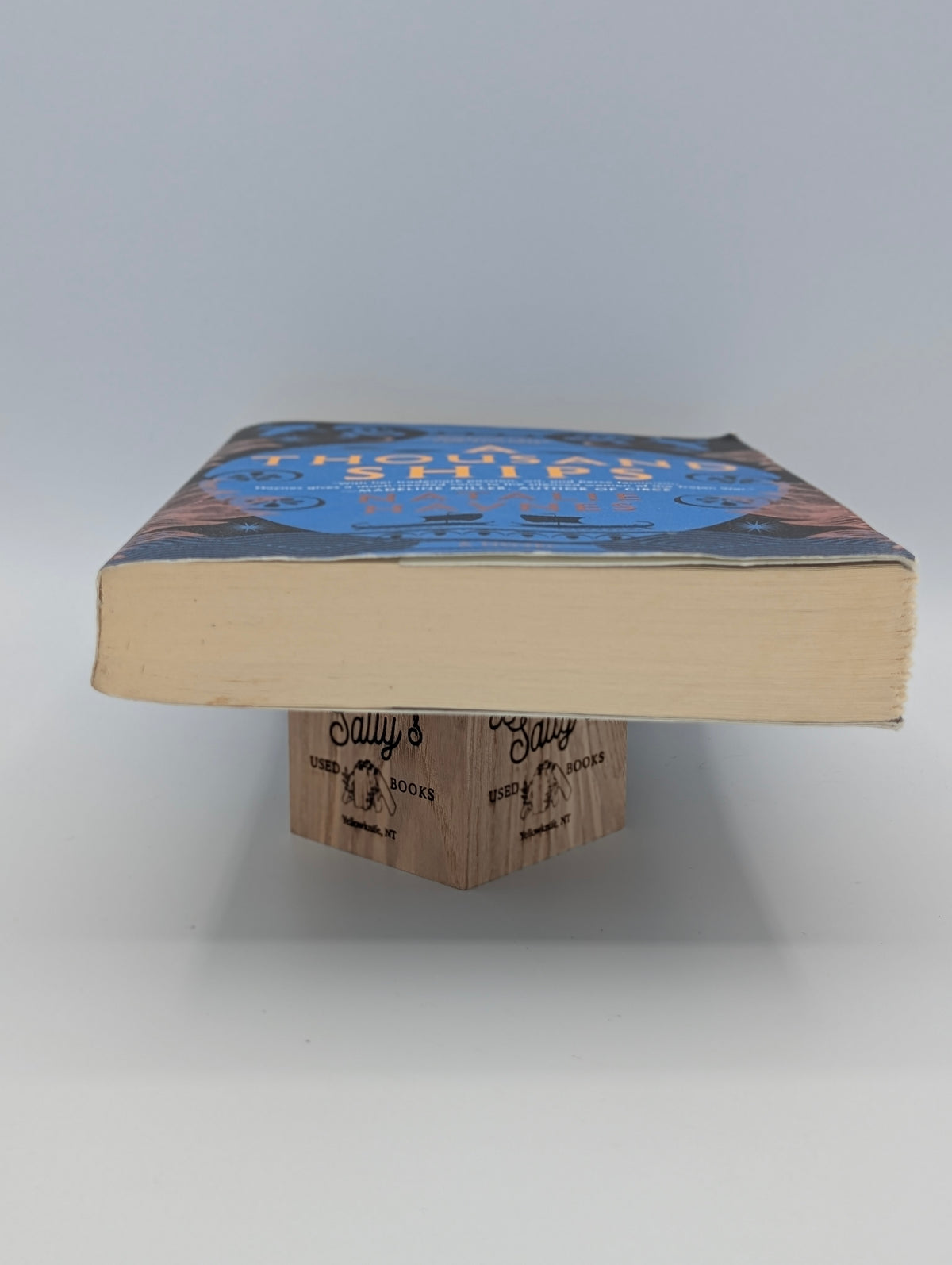 A Thousand Ships: A Novel