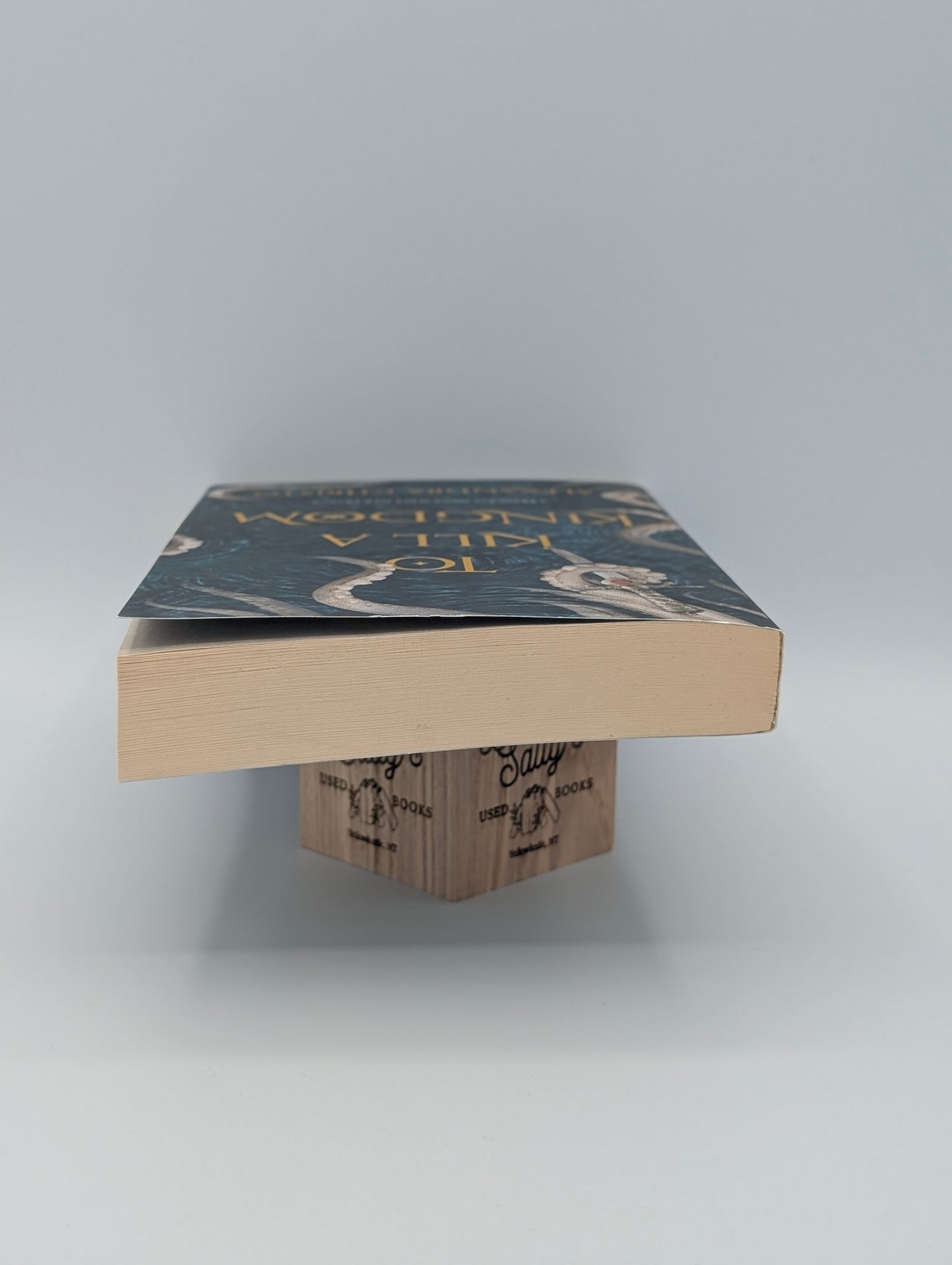 To Kill a Kingdom (Hundred Kingdoms)