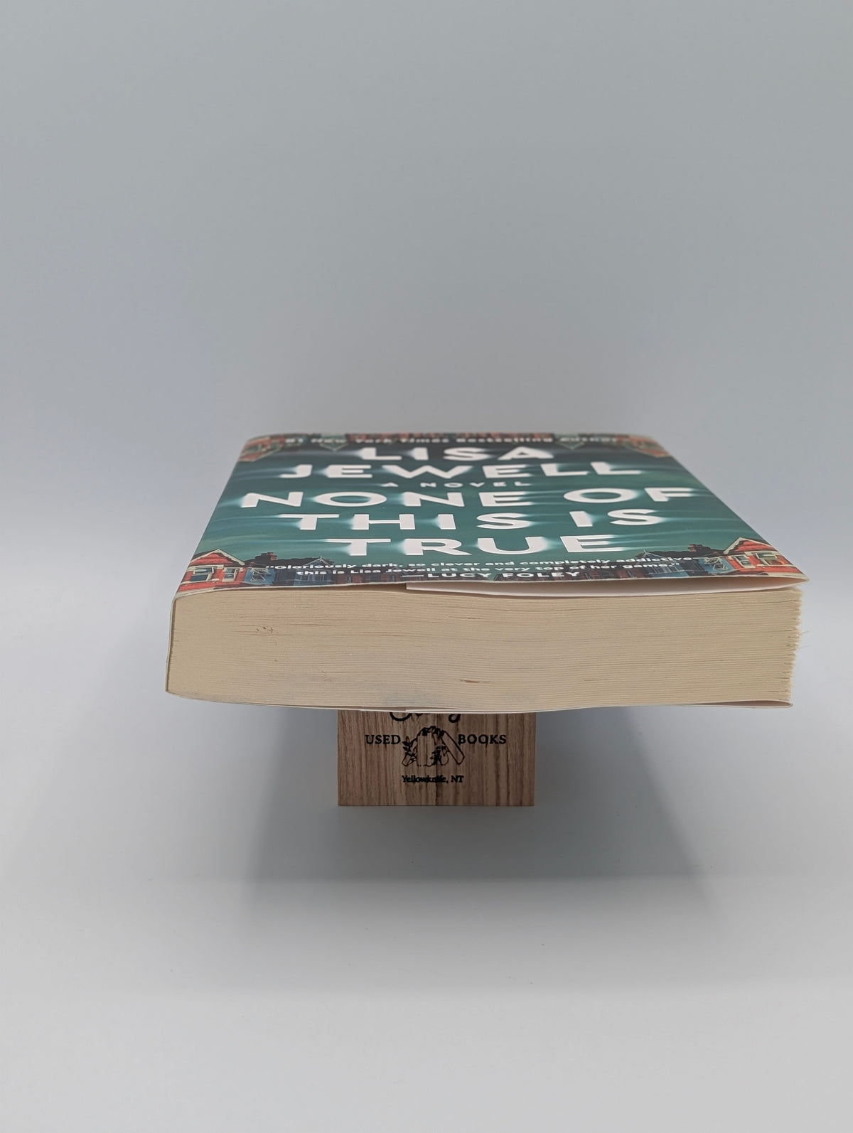None of This Is True: A Novel