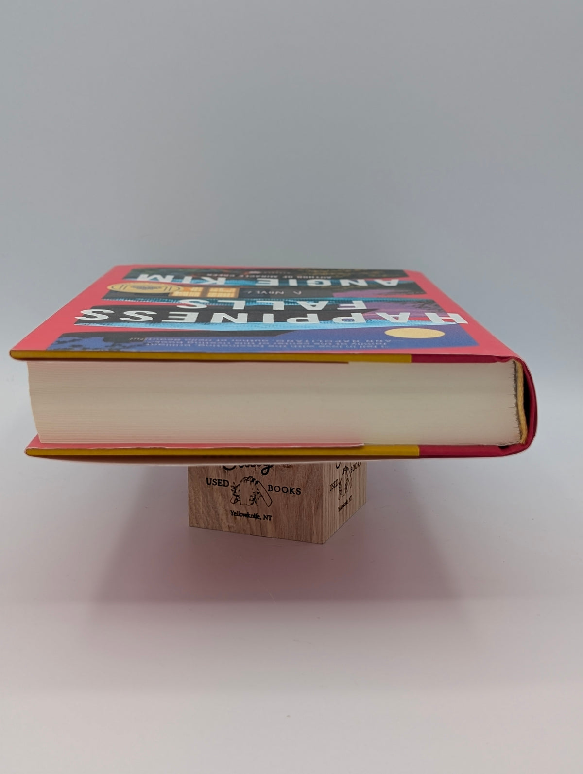Happiness Falls: A GMA Book Club Pick: A Novel