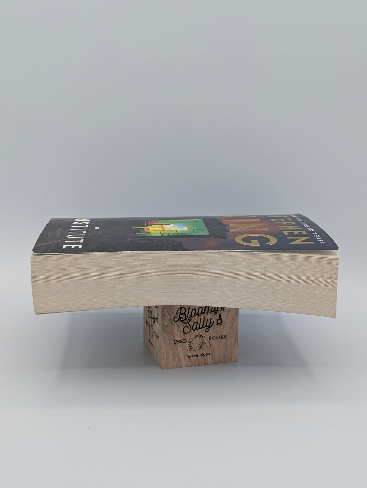 The Institute: A Novel