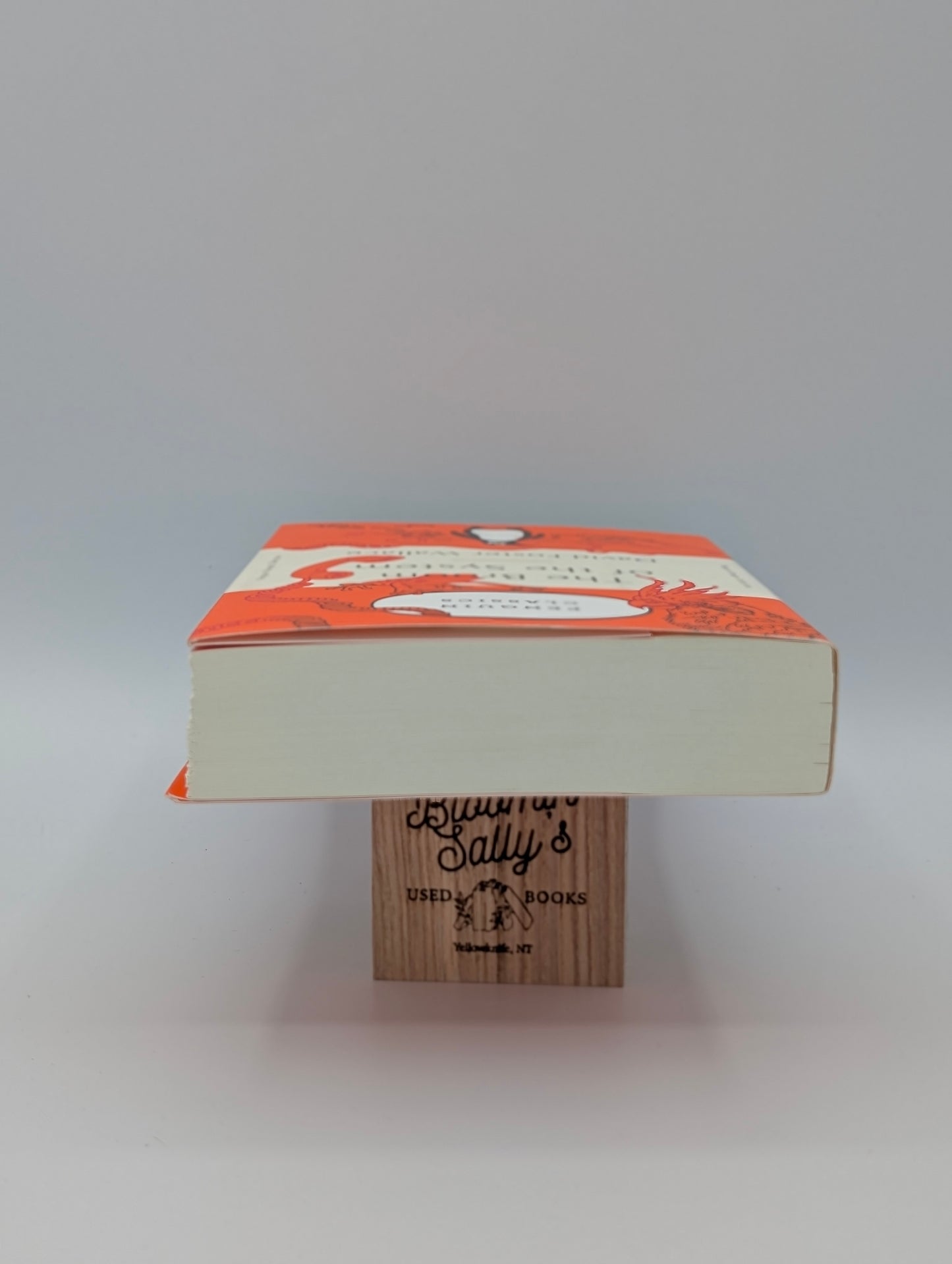 The Broom of the System: A Novel (Penguin Orange Collection)