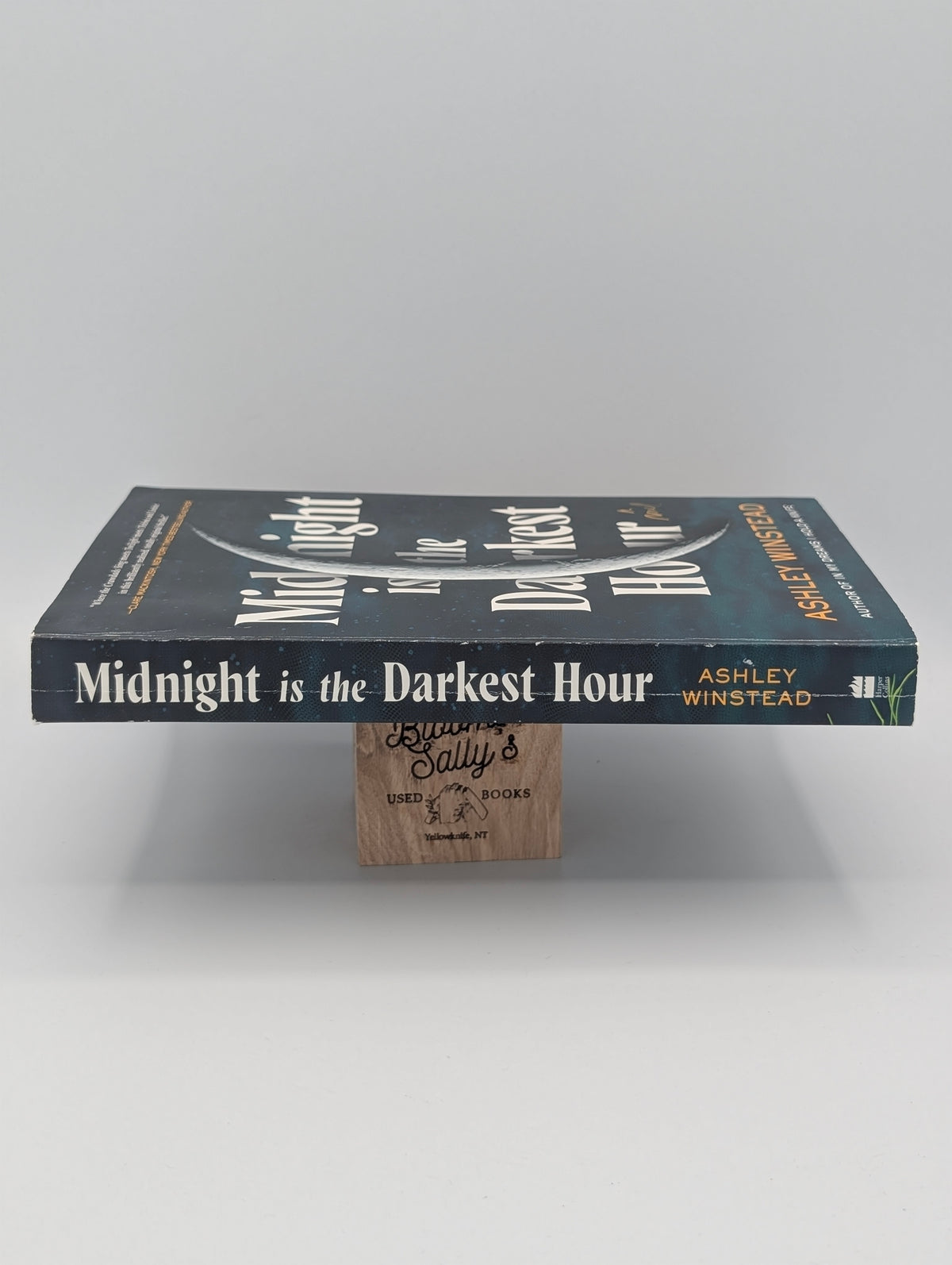 Midnight Is the Darkest Hour: A Novel