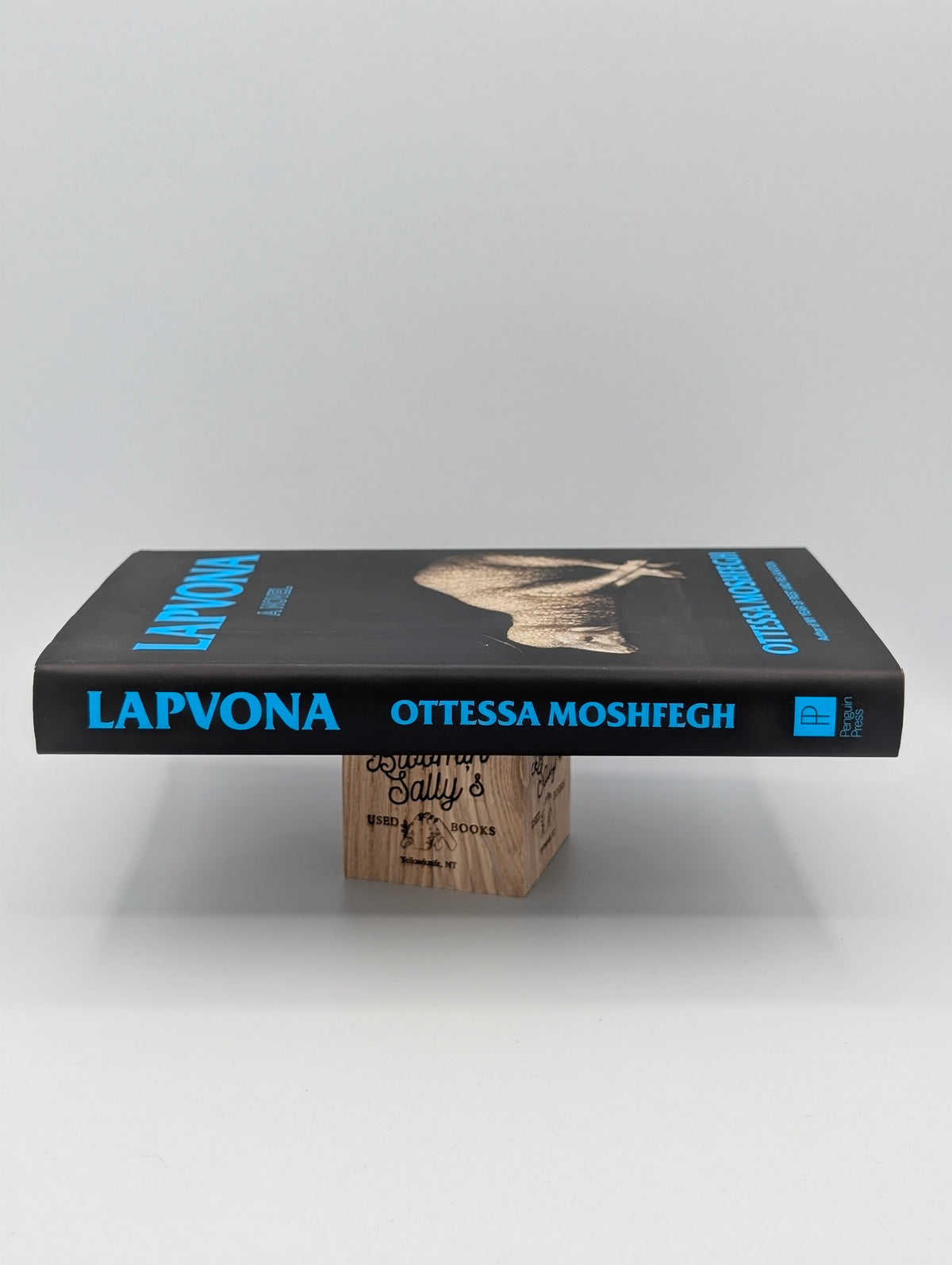 Lapvona: A Novel