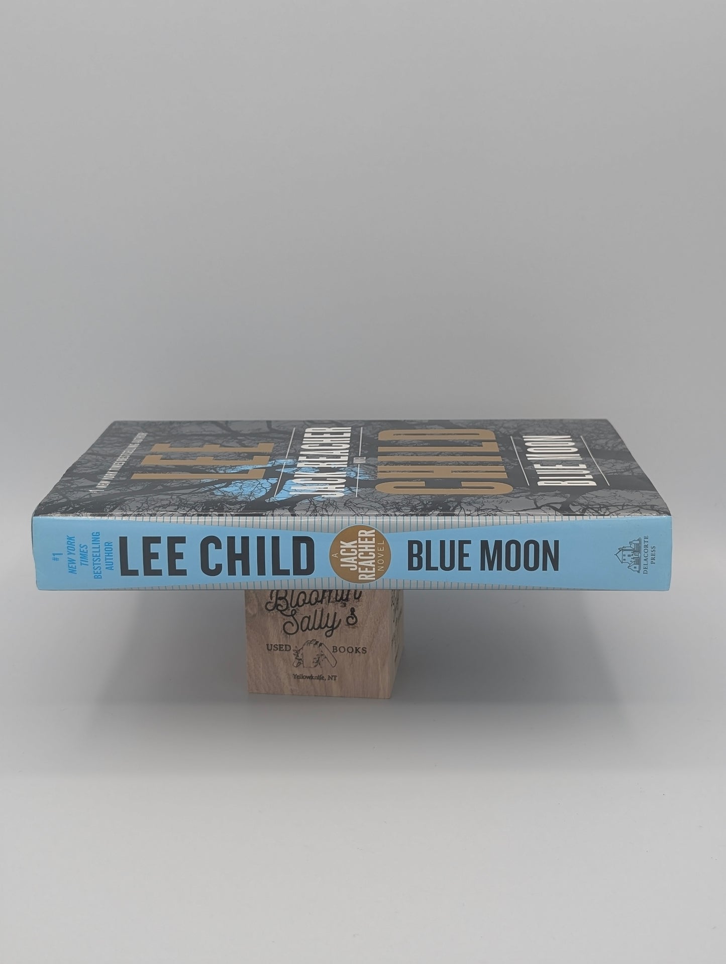 Blue Moon: A Jack Reacher Novel