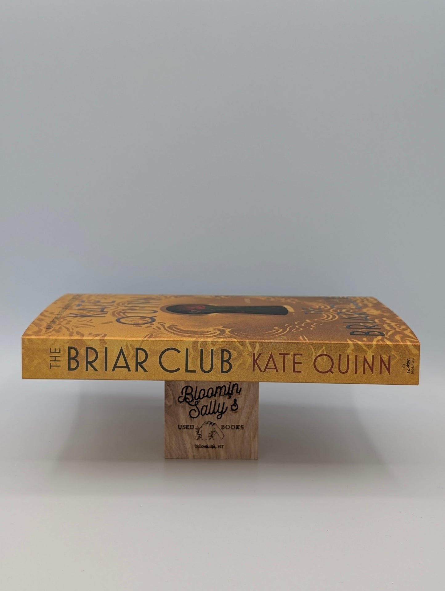 The Briar Club: A Novel