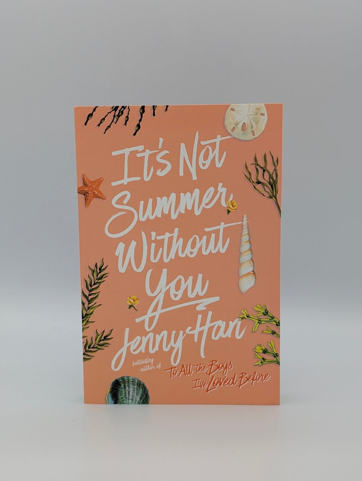 It's Not Summer Without You