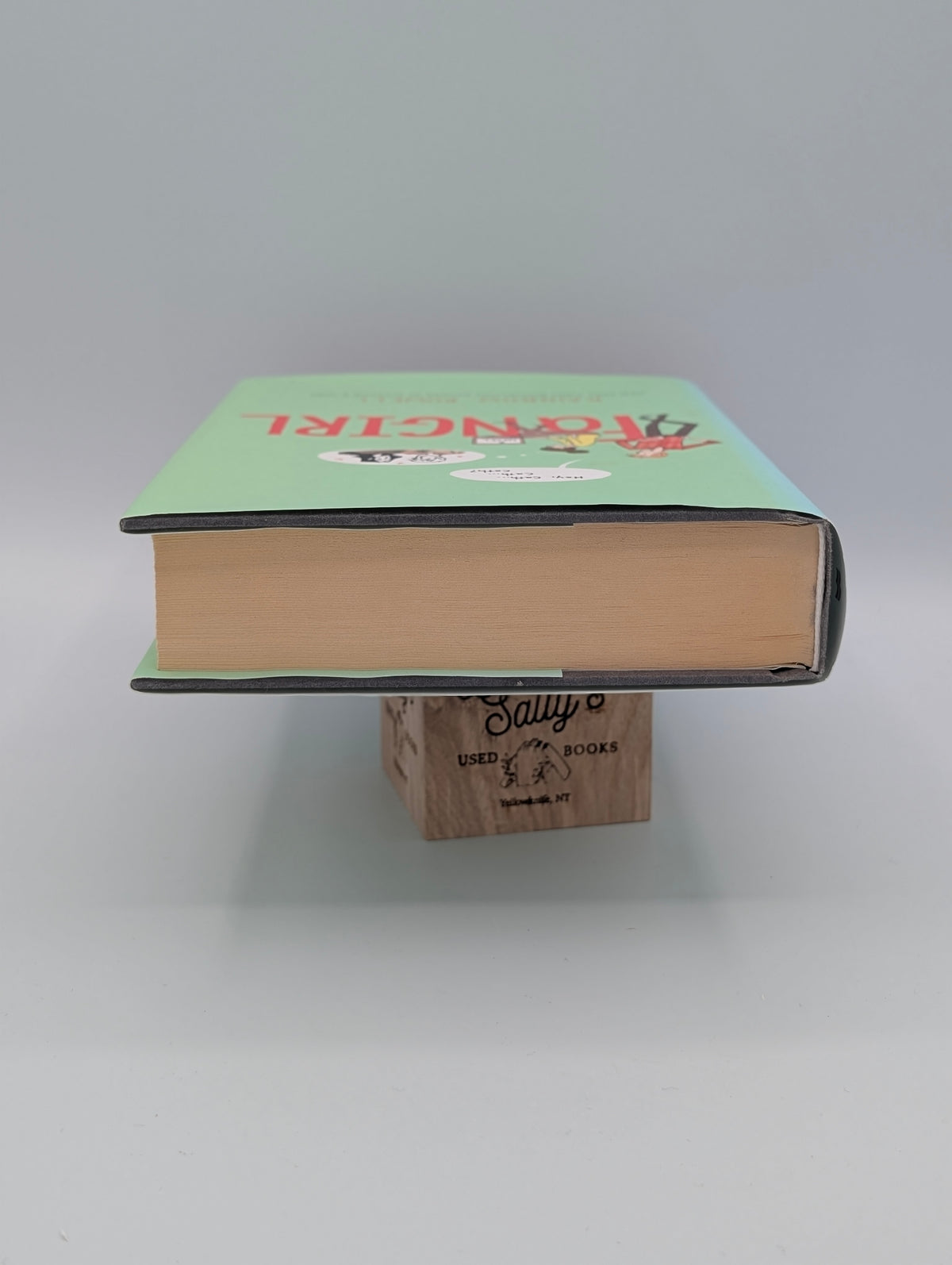 Fangirl: A Novel