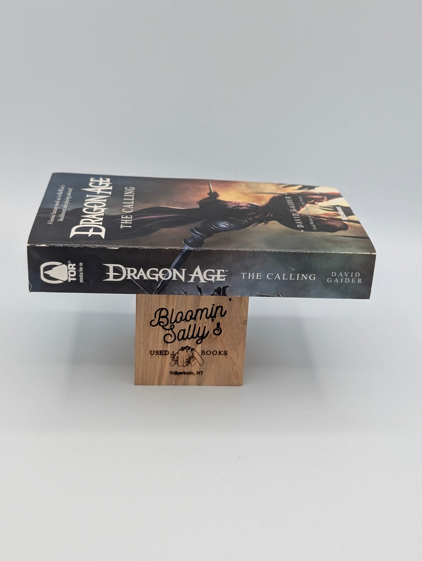 Dragon Age: The Calling