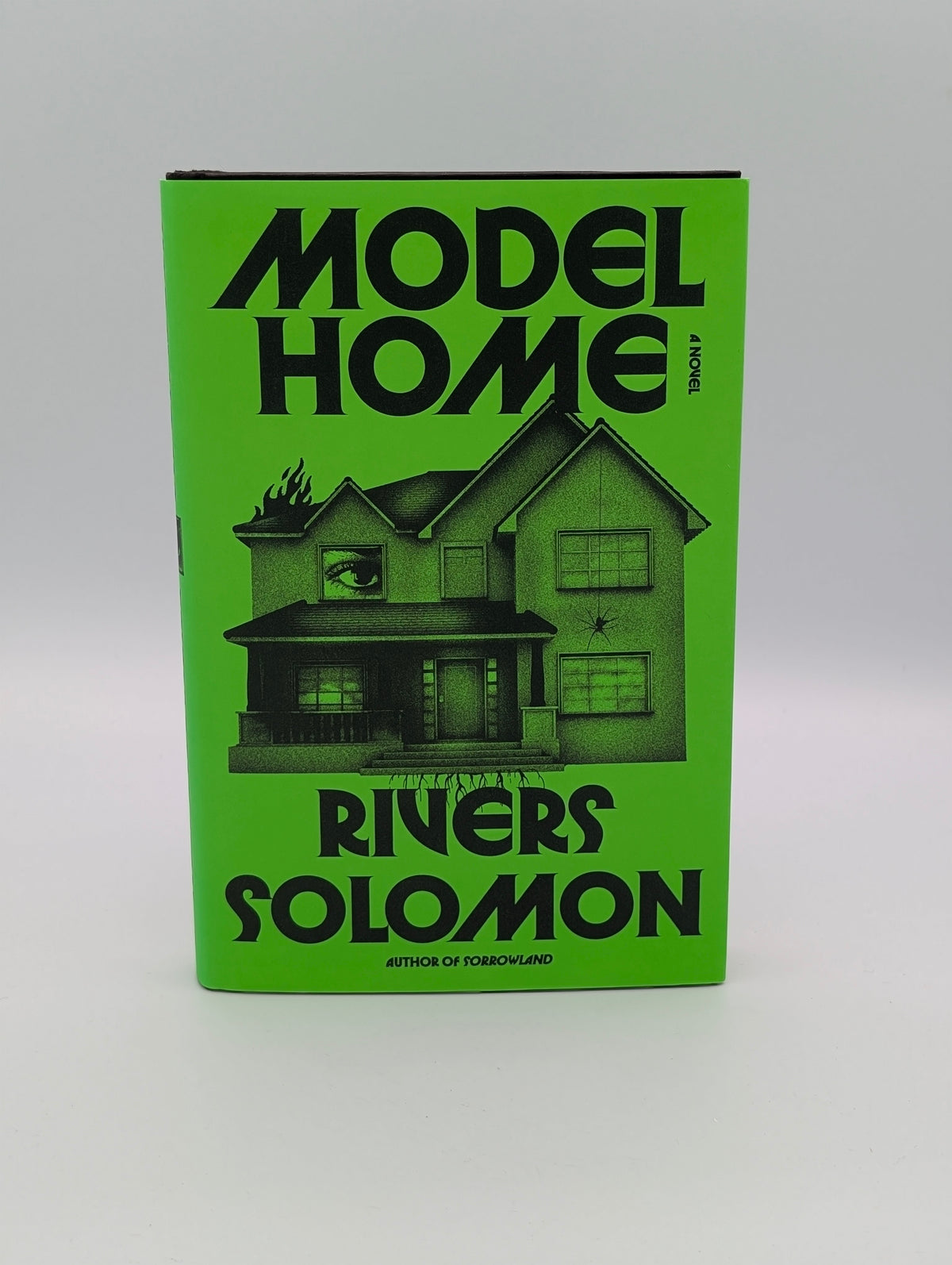 Model Home: A Novel