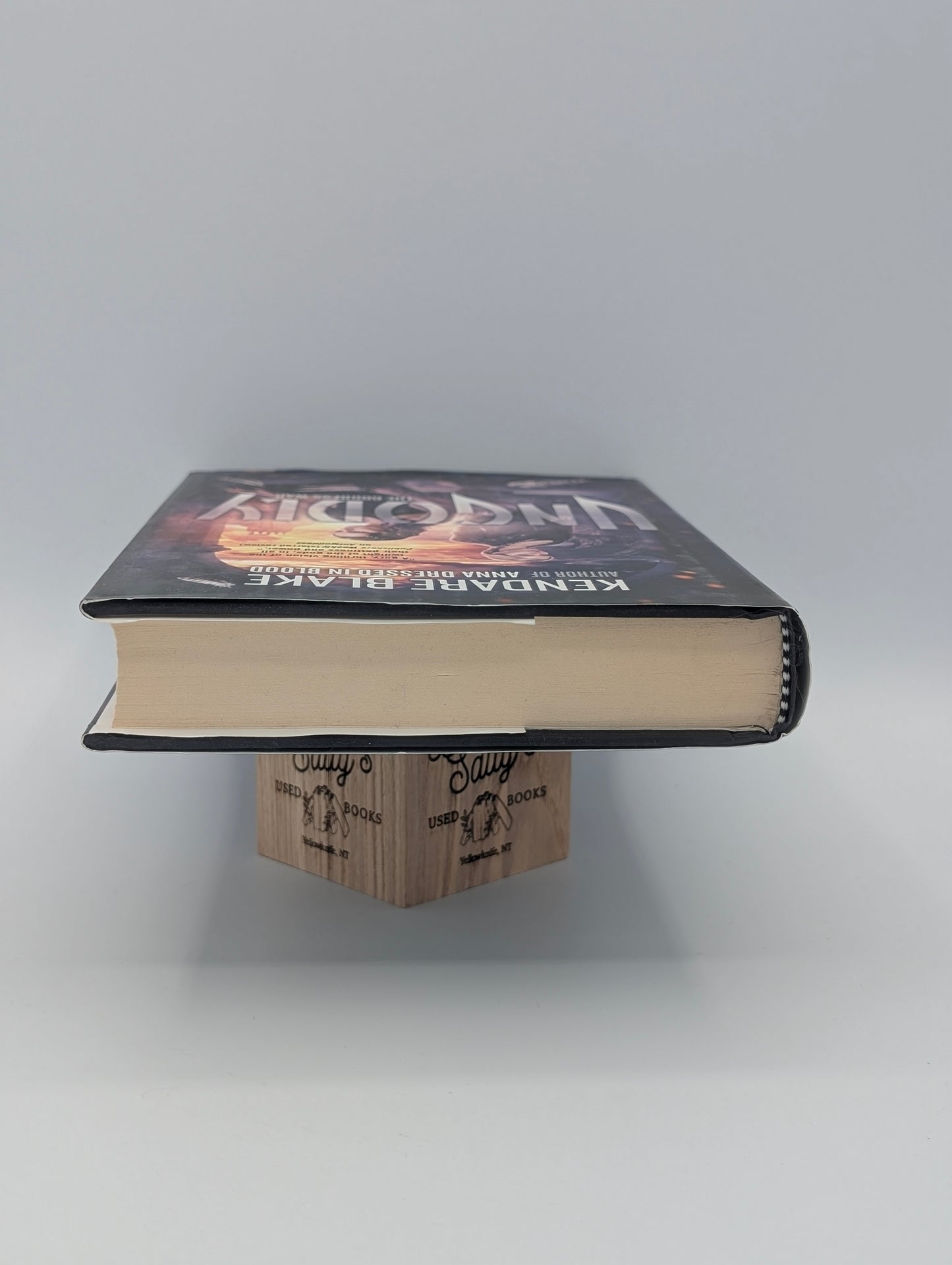 Ungodly: A Novel (The Goddess War, 3)