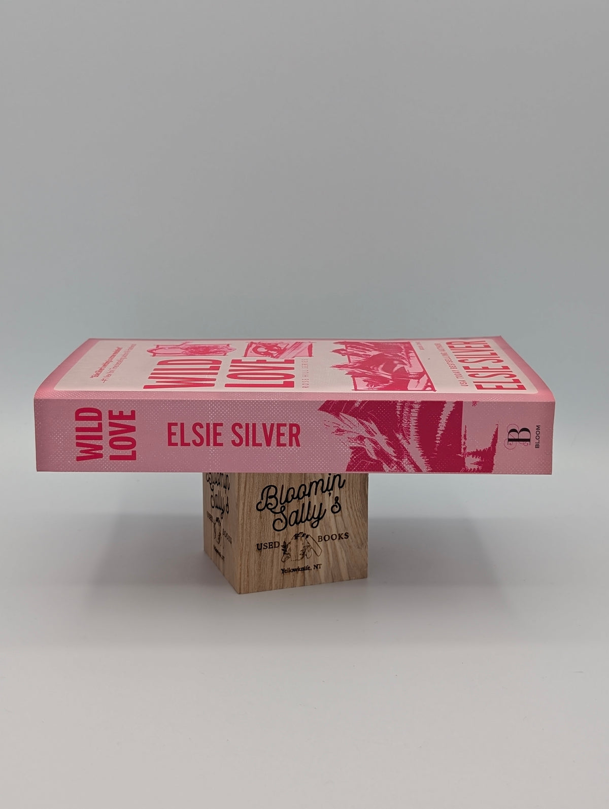 Amour sauvage (Édition standard) (Rose Hill, 1)