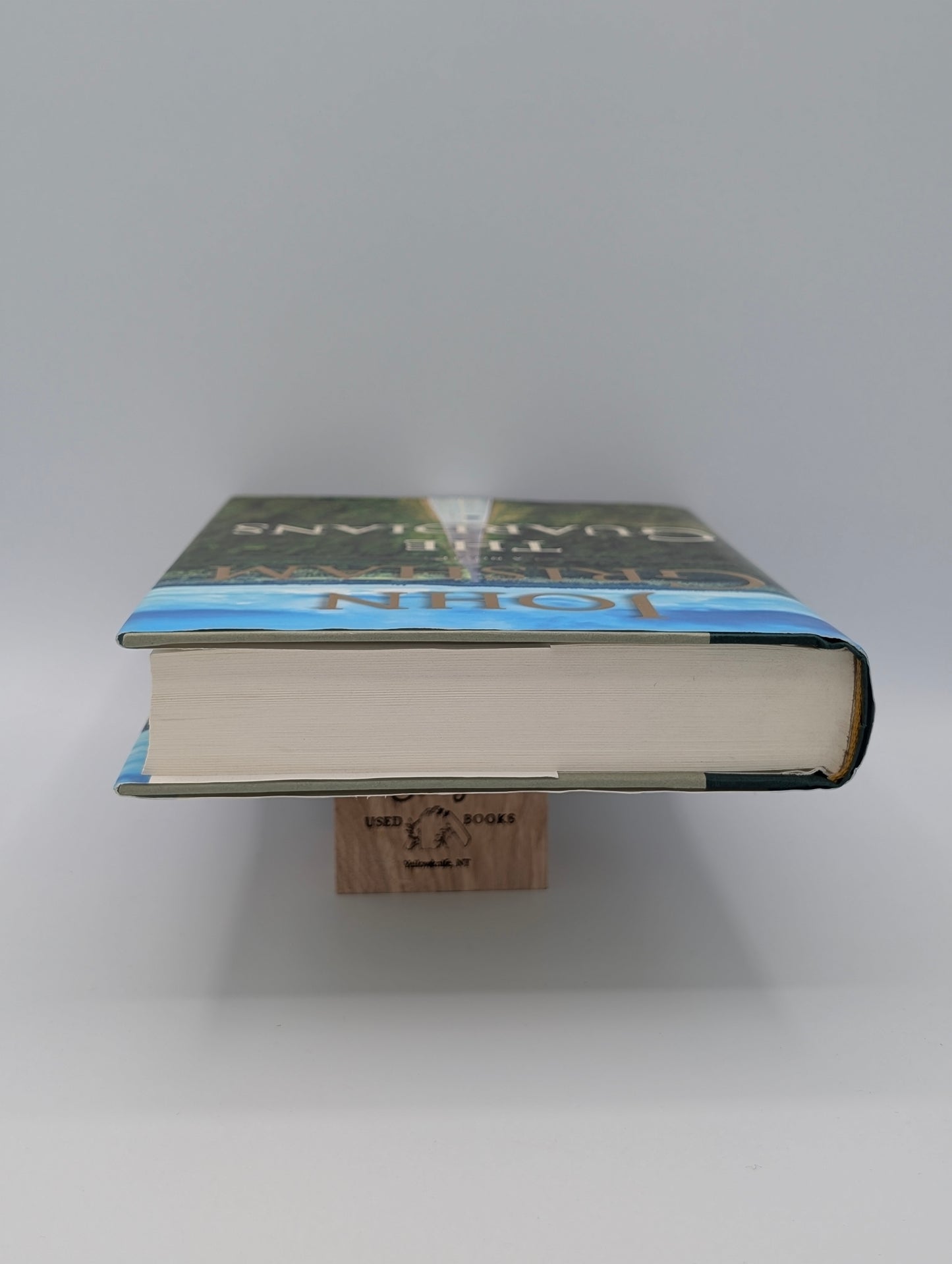 The Guardians: A Novel