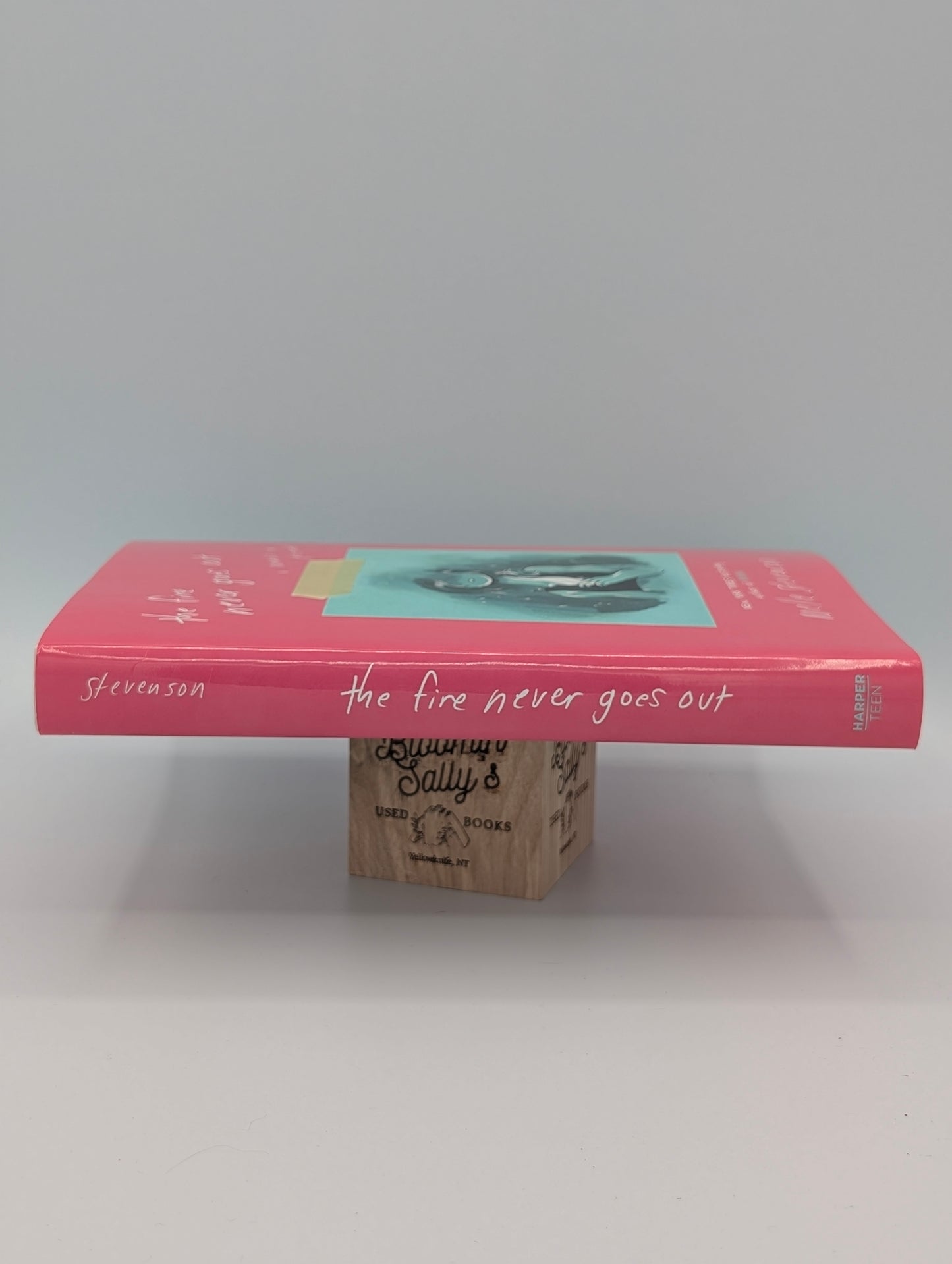 The Fire Never Goes Out: A Memoir in Pictures, A Graphic Memoir